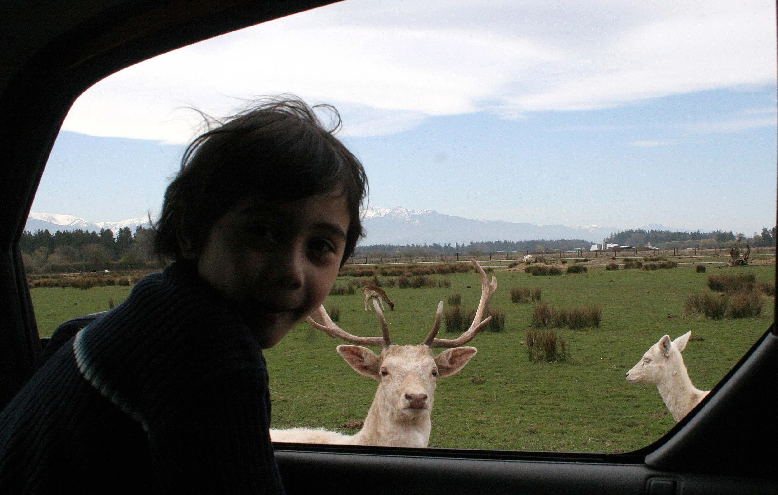 2008-4-12 DUNGENESS GAME FARM WITH COKIE.jpg