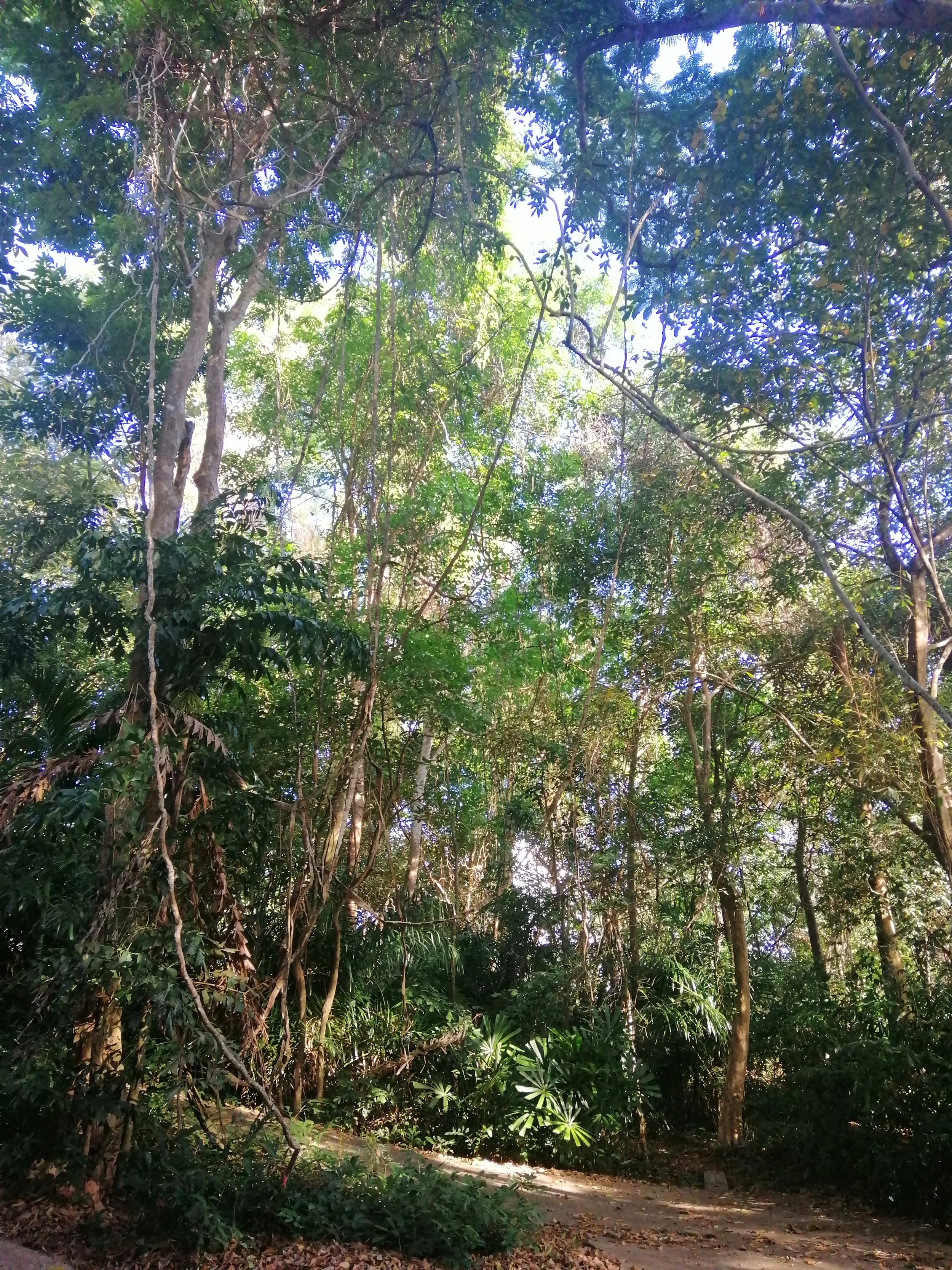 2018 Koh Lanta Misc  (128).jpg