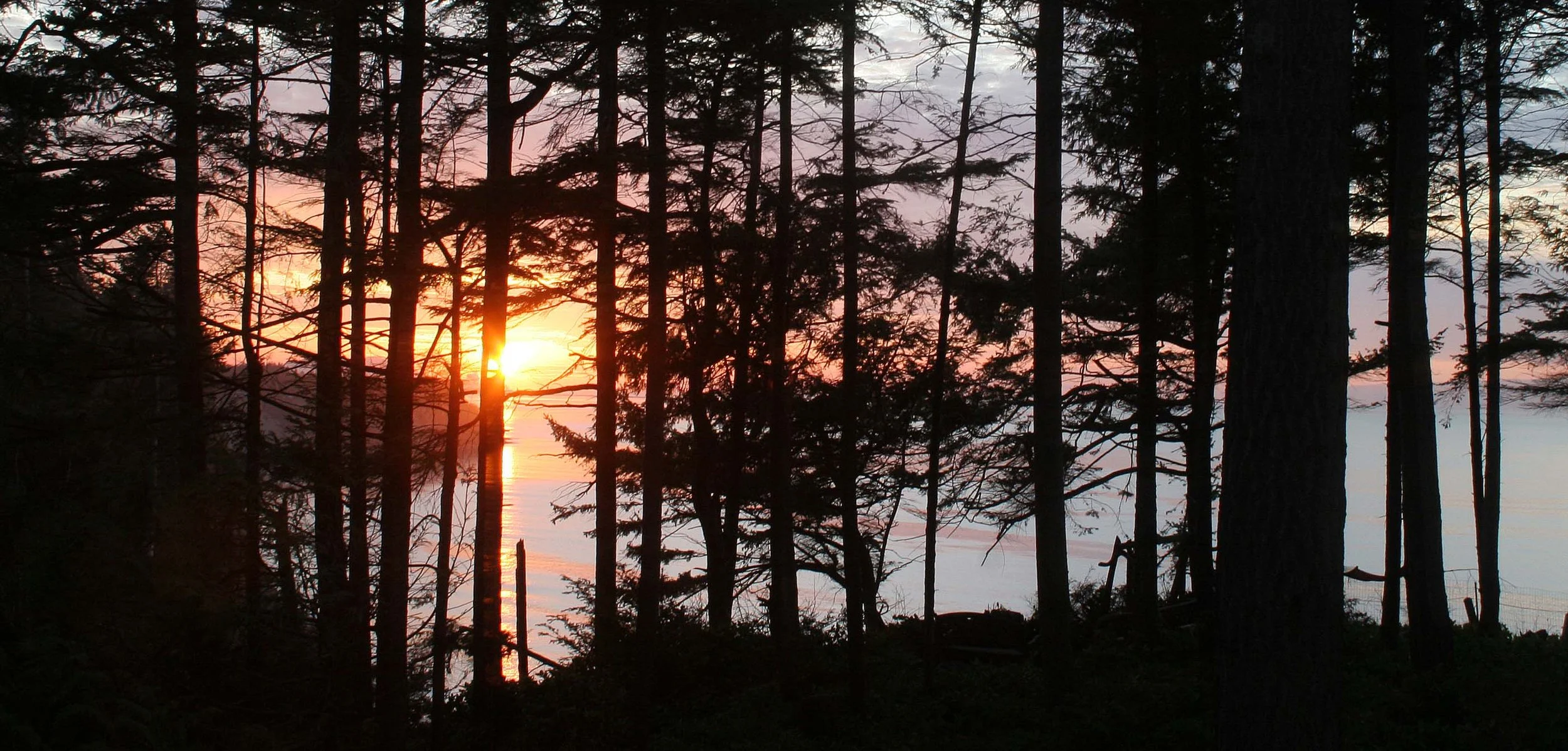 2008-4-11 GASMAN ROAD SUNSET (4).jpg