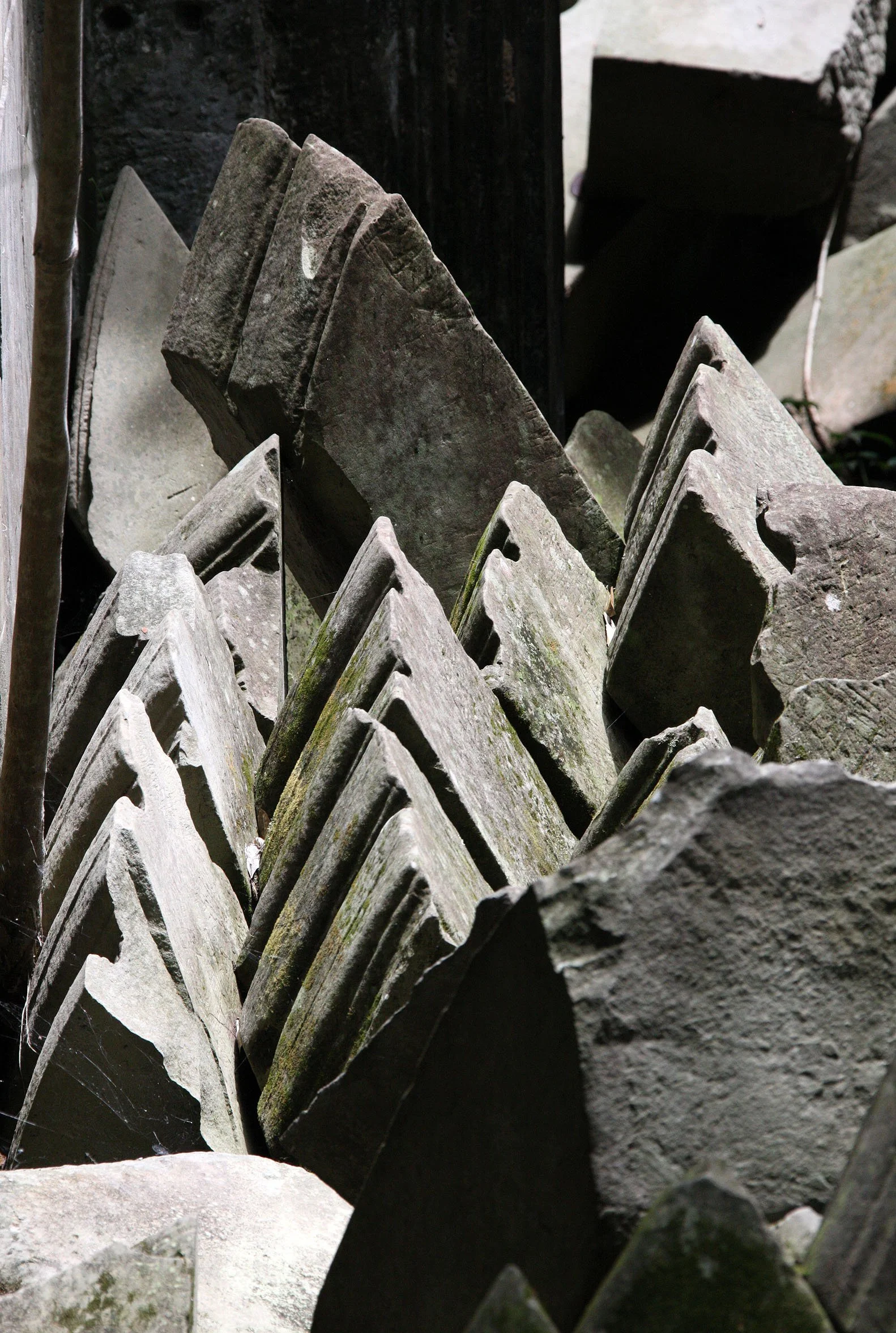 BENG MEALEA - CAMBODIA - JULY 2010 (34).JPG