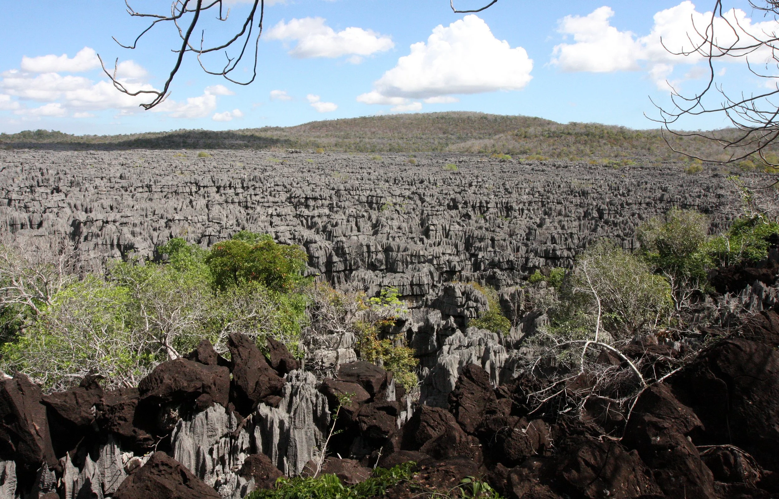 ANKARANA NATIONAL PARK MADAGASCAR - TSINGY FOREST (12).JPG