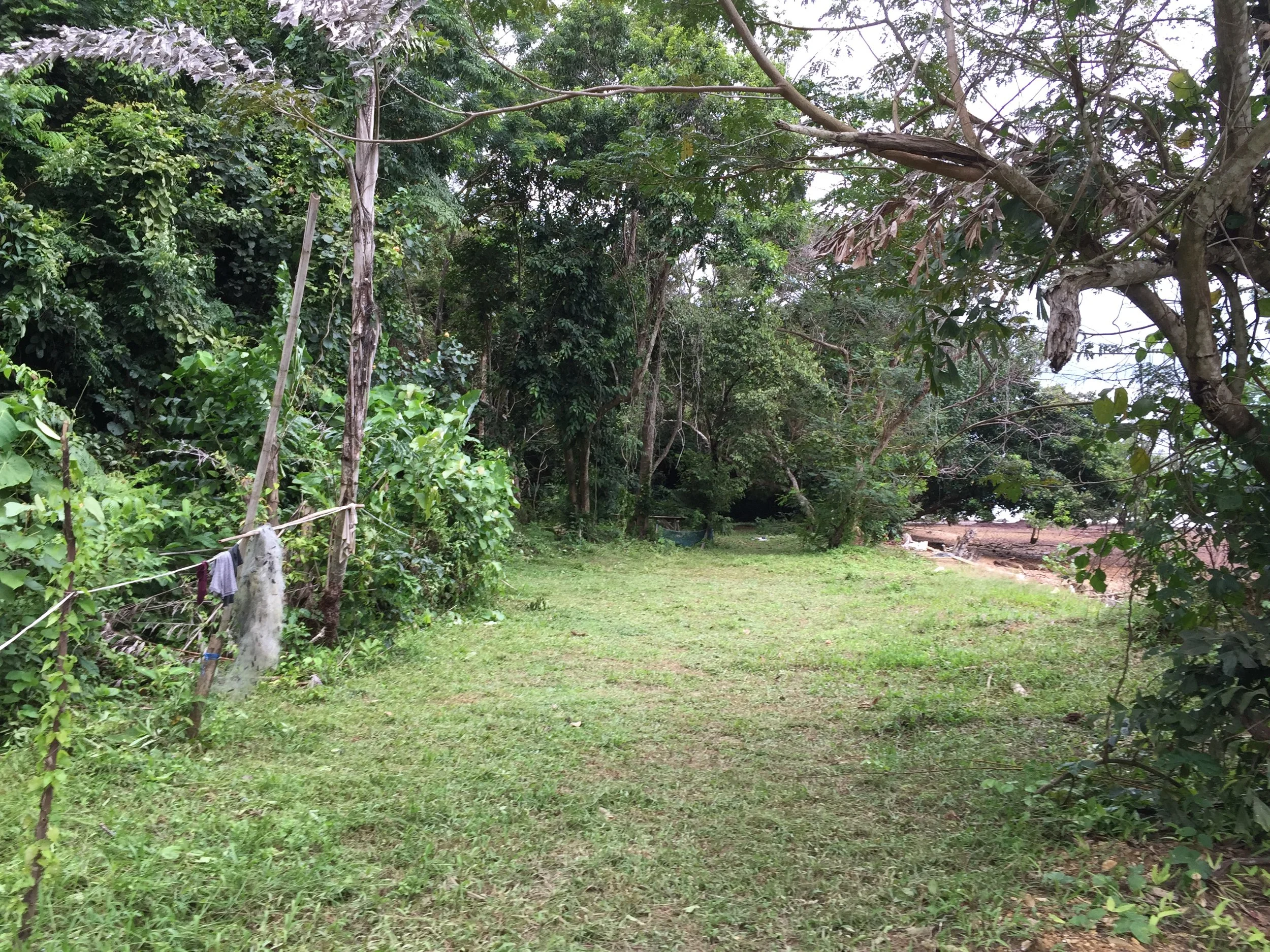 2015 Koh Lanta Garden & Nature (195).JPG