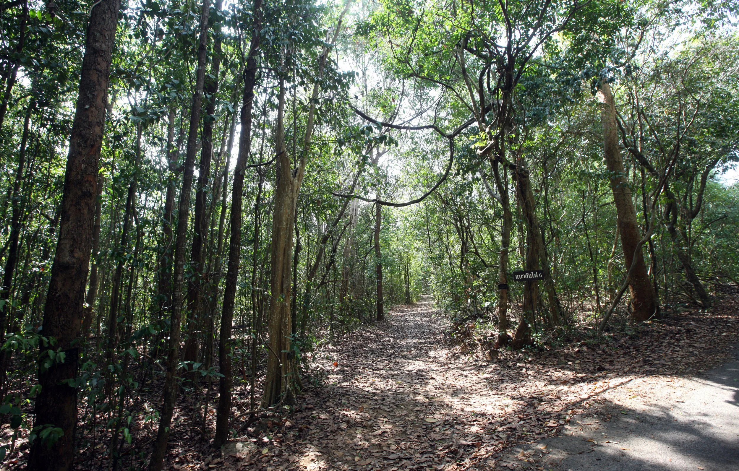 2015 Khao Pang Ma Nonhunting Area (23).JPG