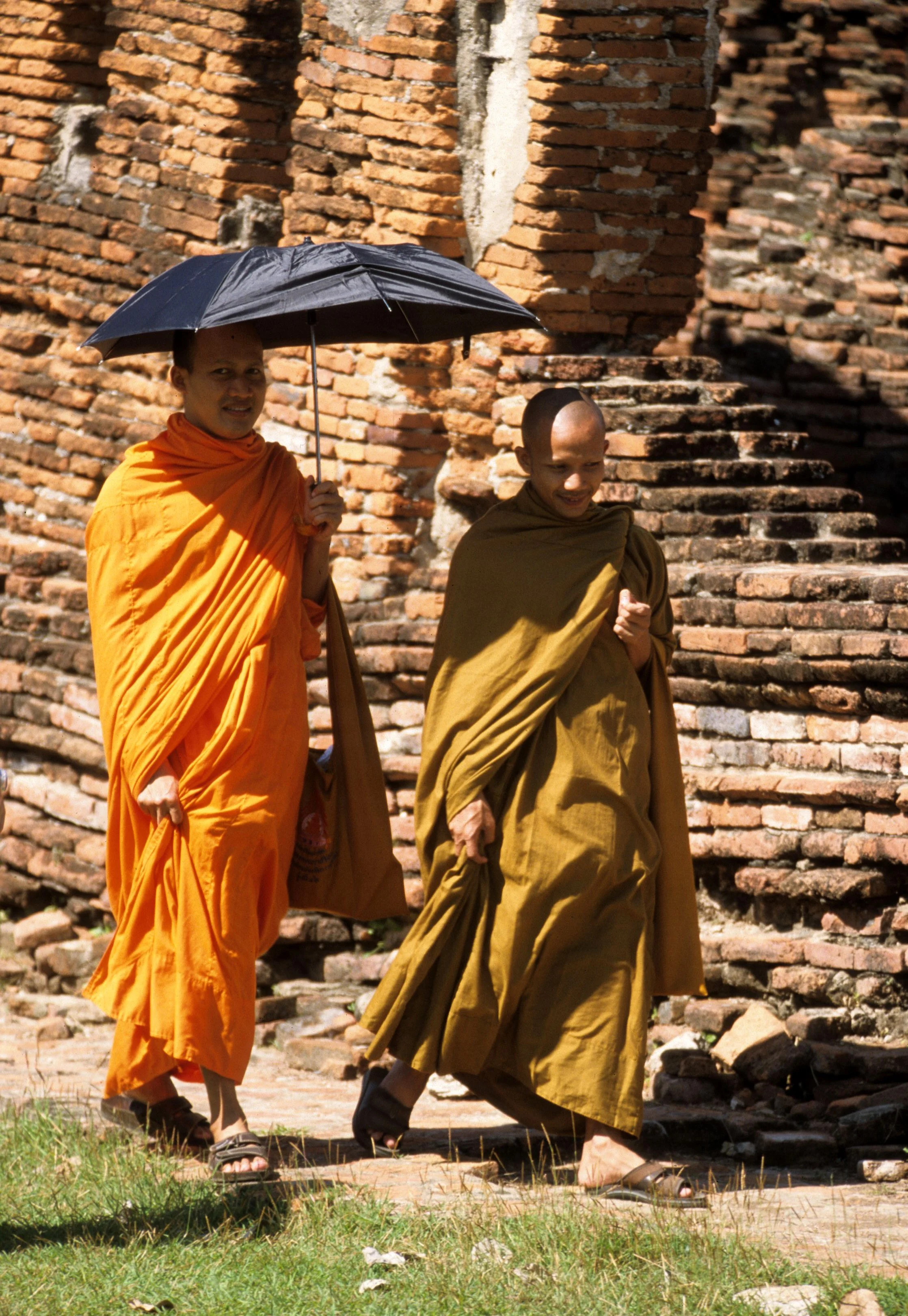 AYUDTHAYA - MONKS ON A STROLL B.jpg