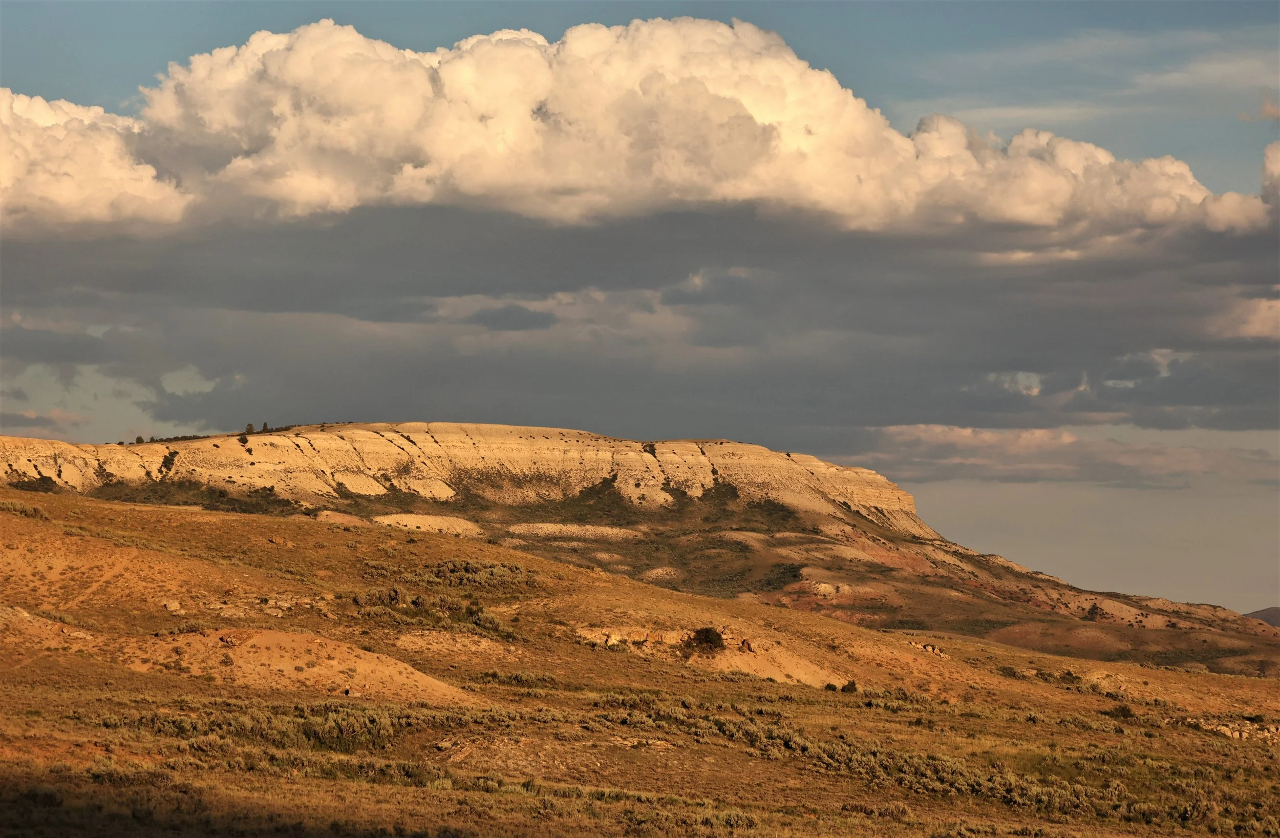 FOSSIL BUTTES NATIONAL MONUMENT WYOMING (136).jpg