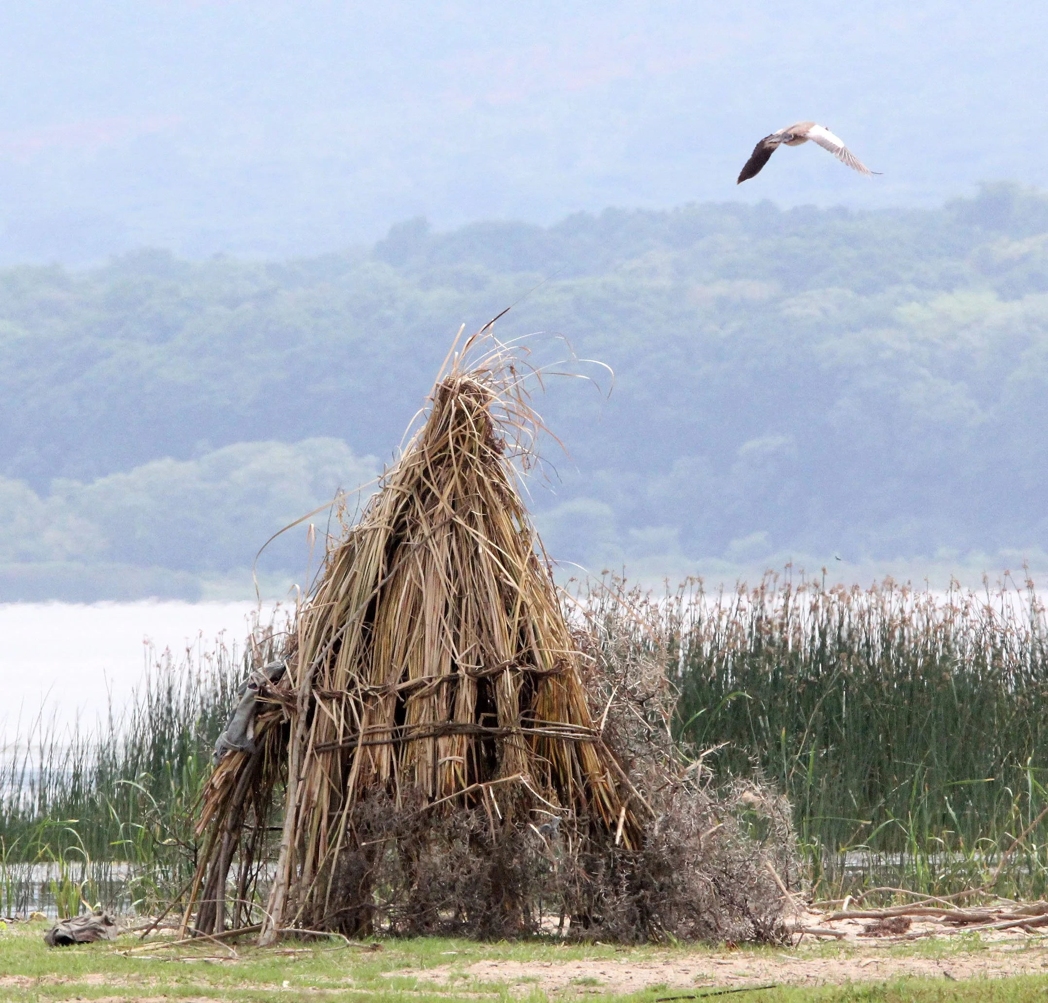 LANGANO LAKE ETHIOPIA (33).JPG