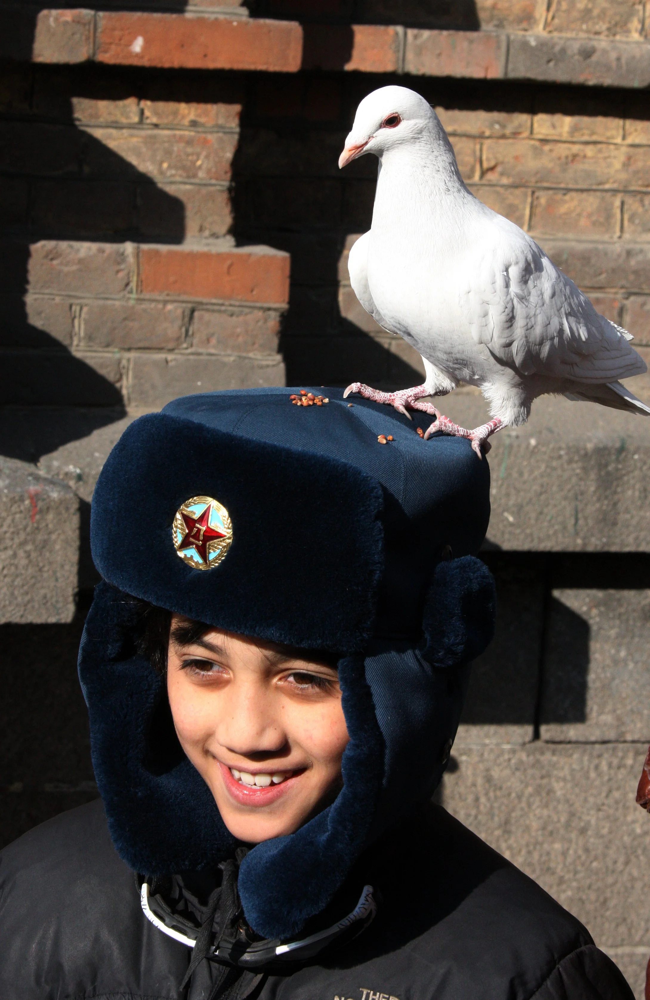 BIRD - PIGEON - HARBIN SAINT SOPHIA'S CATHEDRAL CHINA (69).JPG