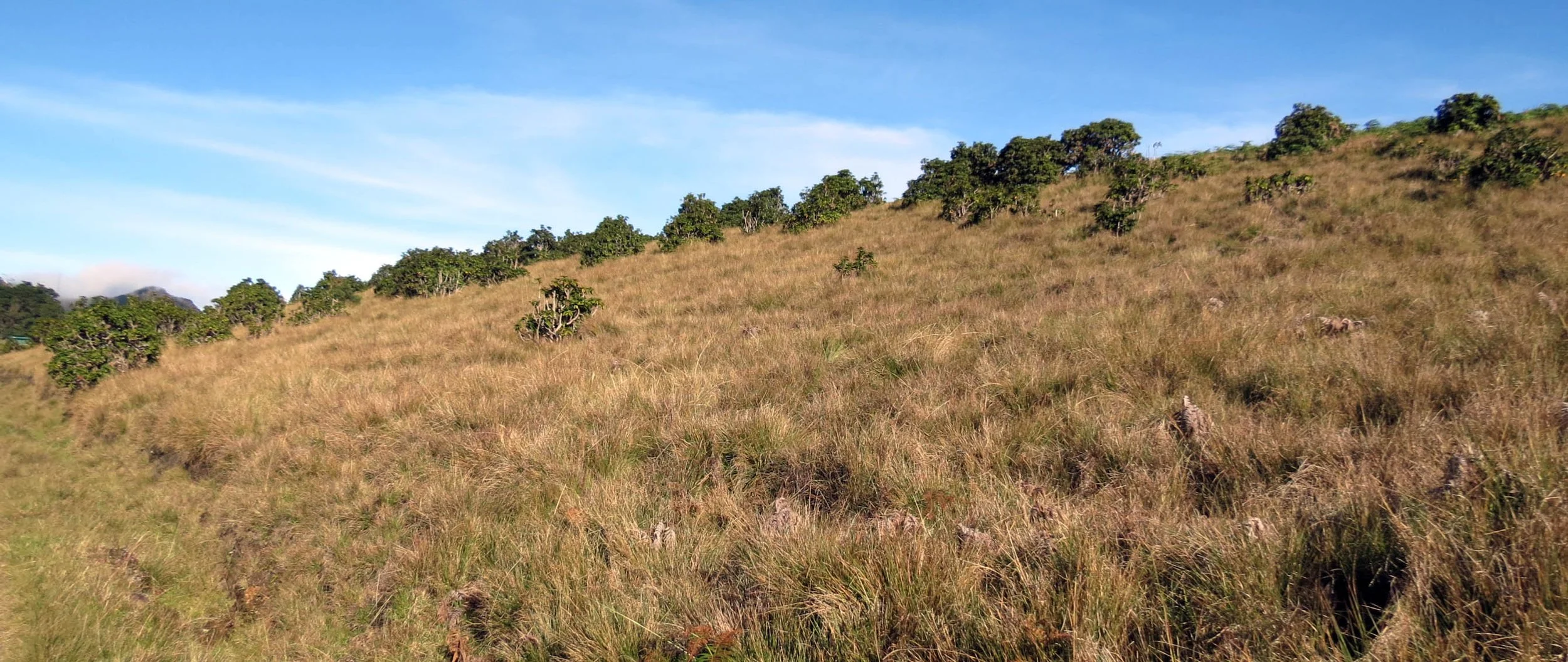 HORTON PLAIN NATIONAL PARK SRI LANKA (13).JPG