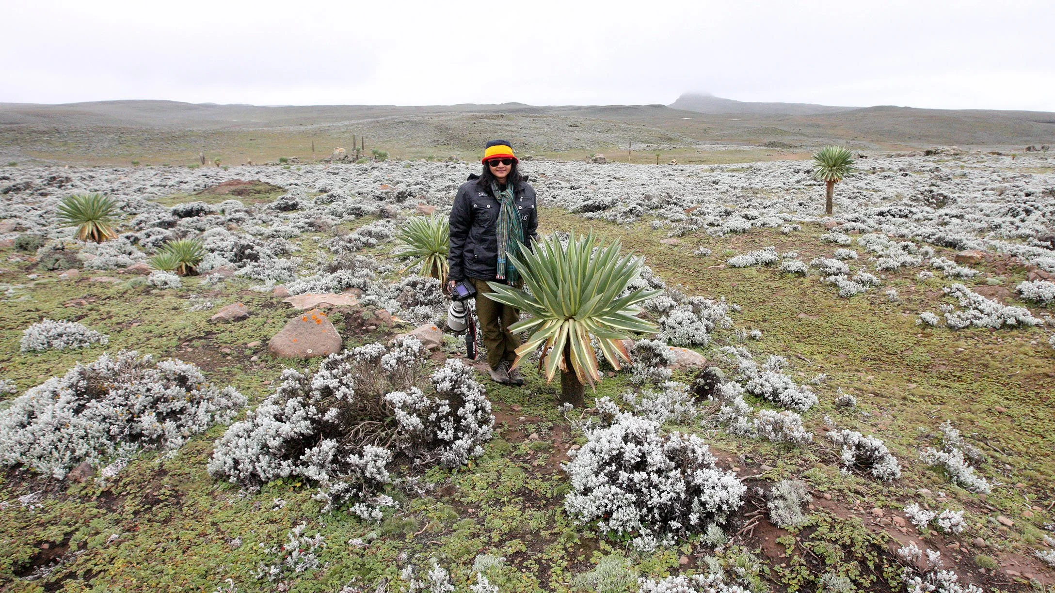 BALE MOUNTAINS NATIONAL PARK ETHIOPIA - SANETTI PLATEAU (29).JPG