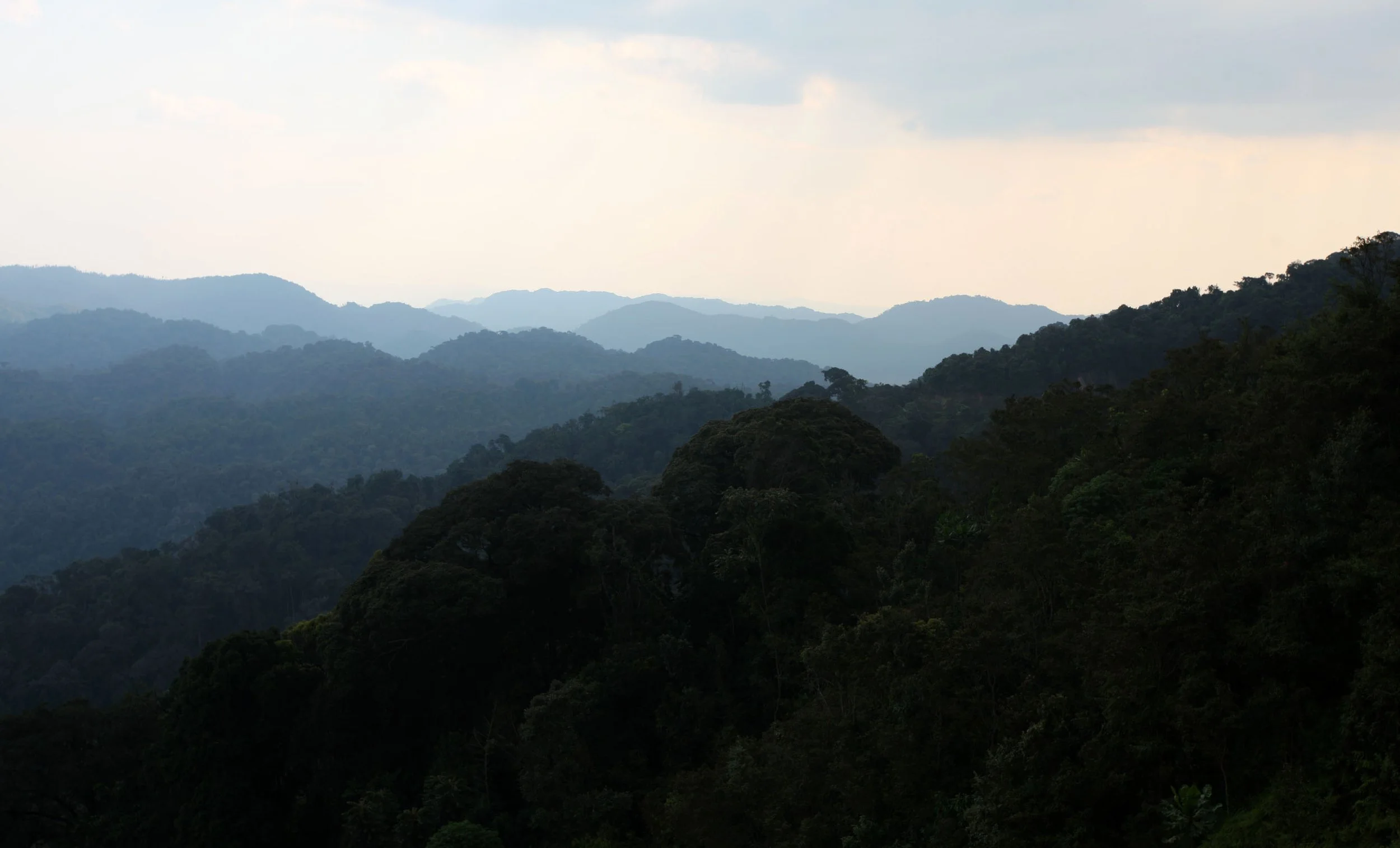 NYUNGWE NATIONAL PARK RWANDA 2 (35).JPG