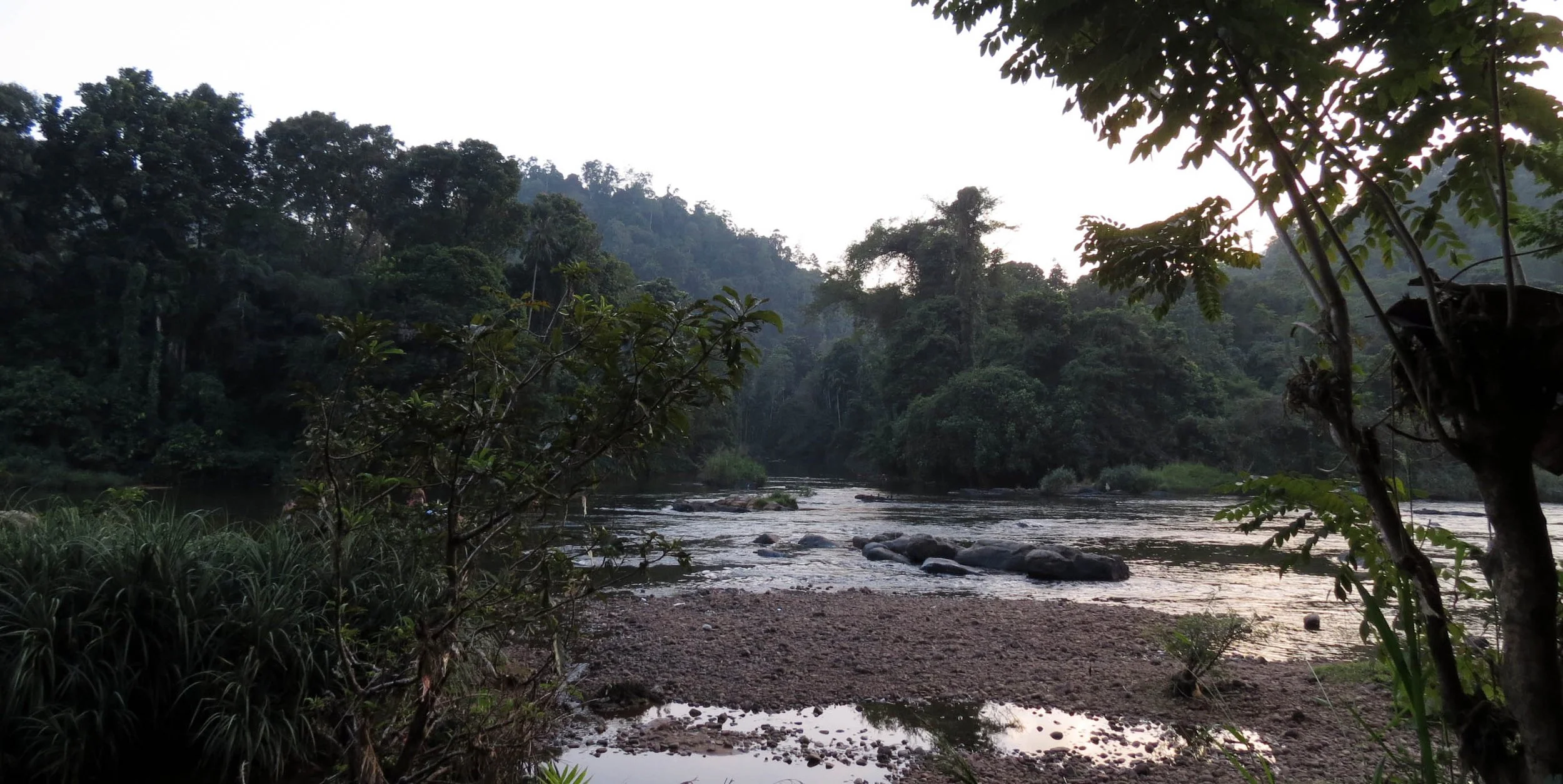 KITULGALA FOREST PRESERVE SRI LANKA (1).JPG