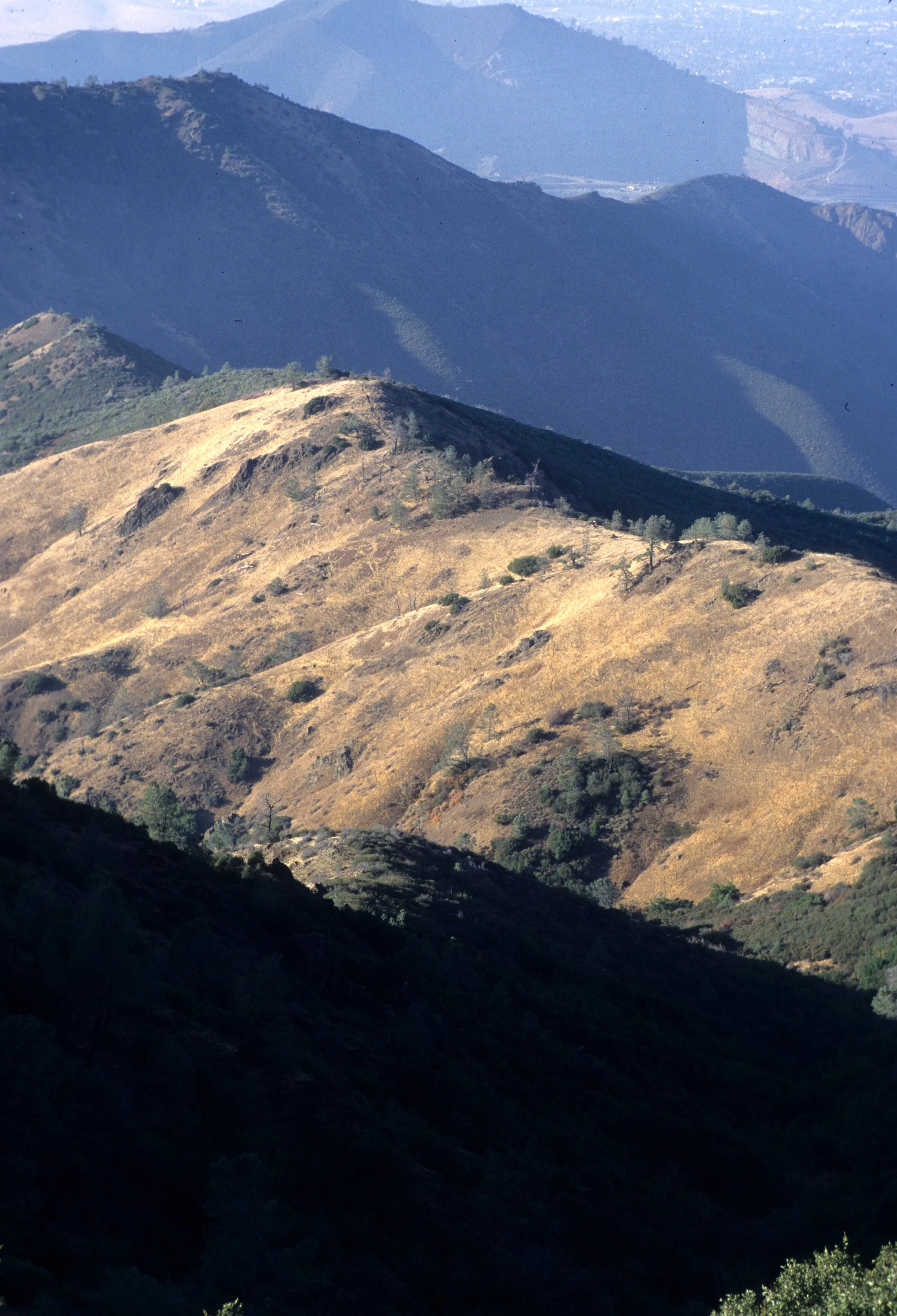 CALIFORNIA - MOUNT DIABLO - VIEW OF OAK WOODLANDS B.jpg