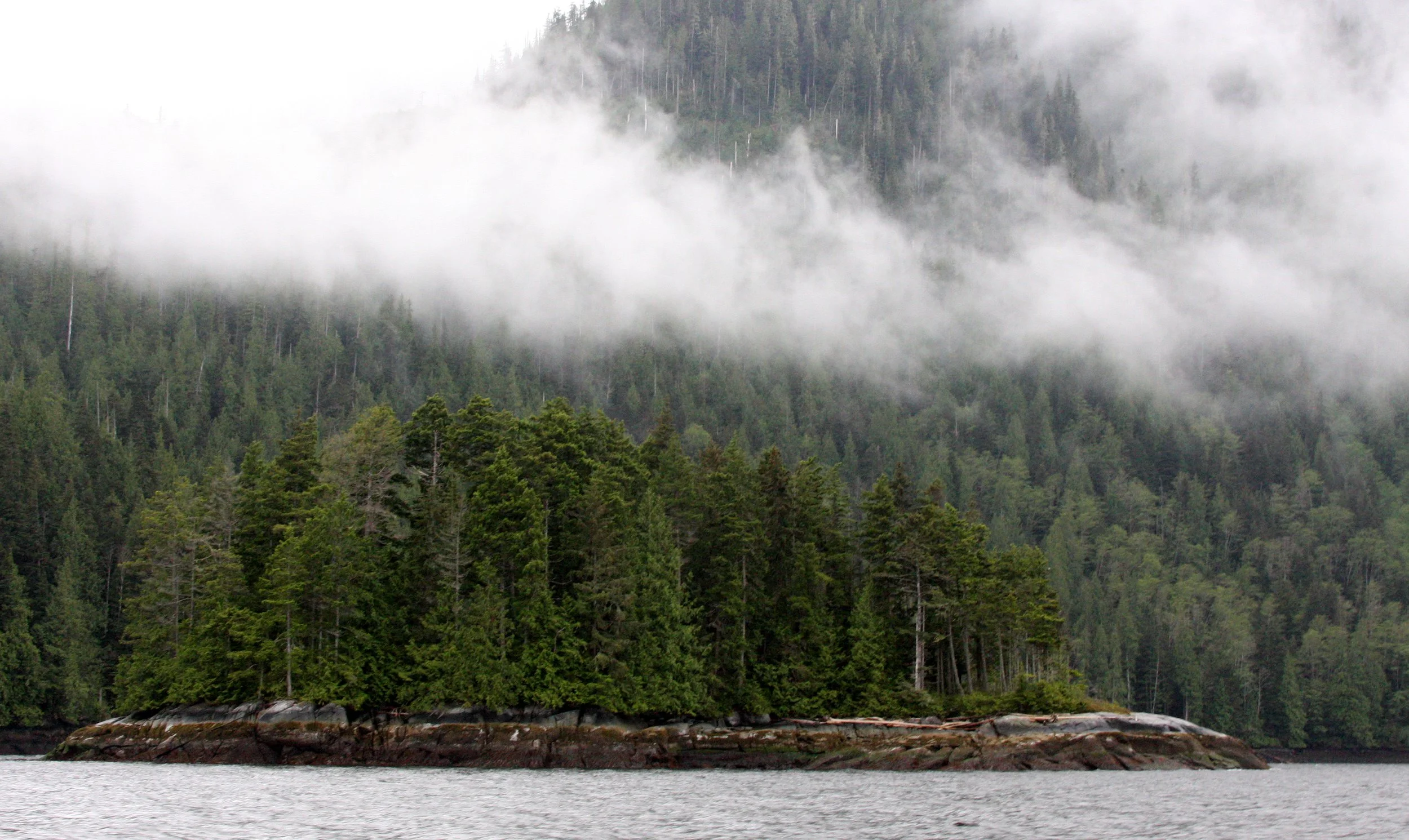 KNIGHT'S INLET BRITISH COLUMBIA (18).JPG