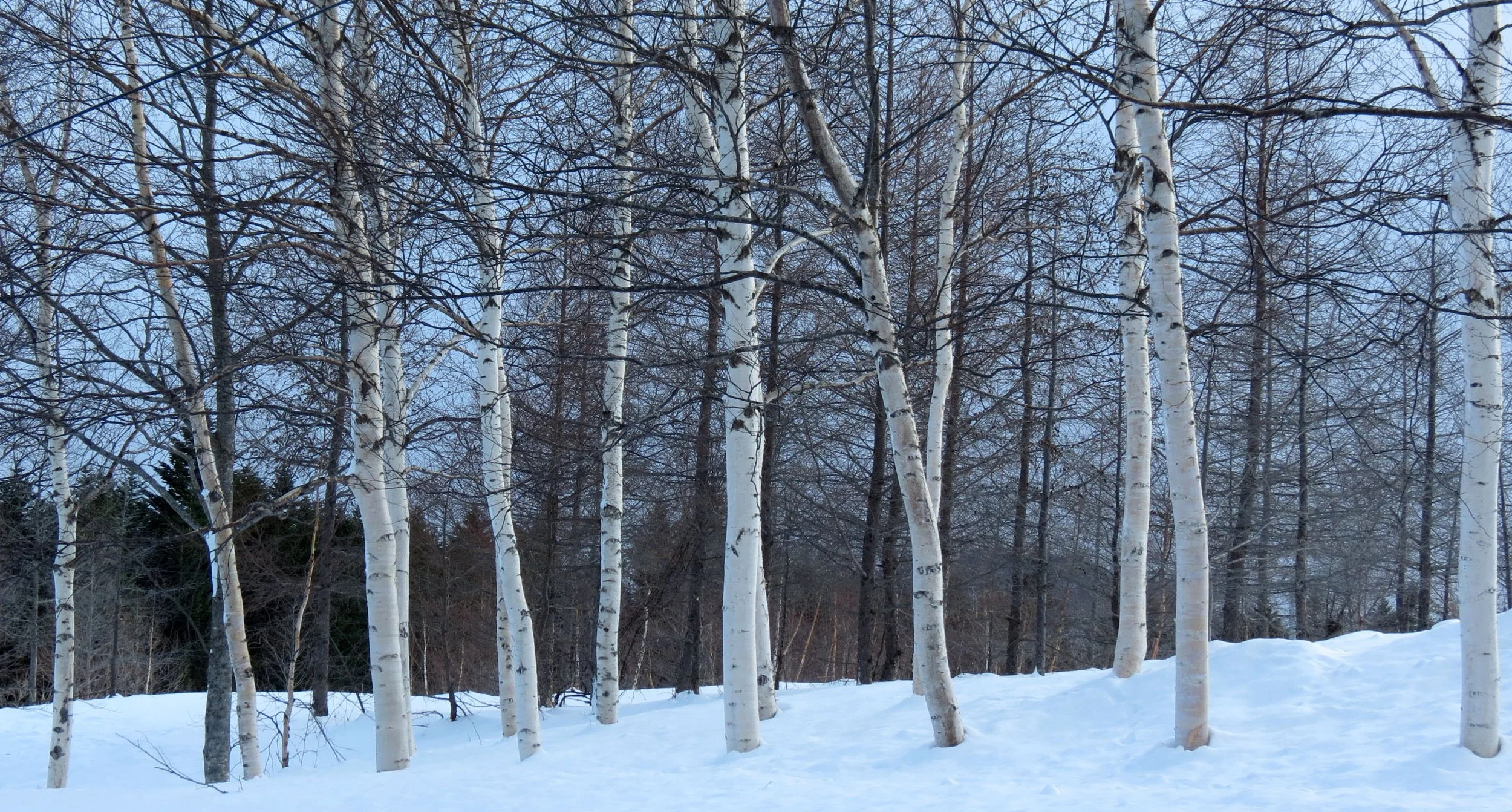 ABASHIRI - HOKKAIDO JAPAN - VIEWS EN ROUTE (15).JPG