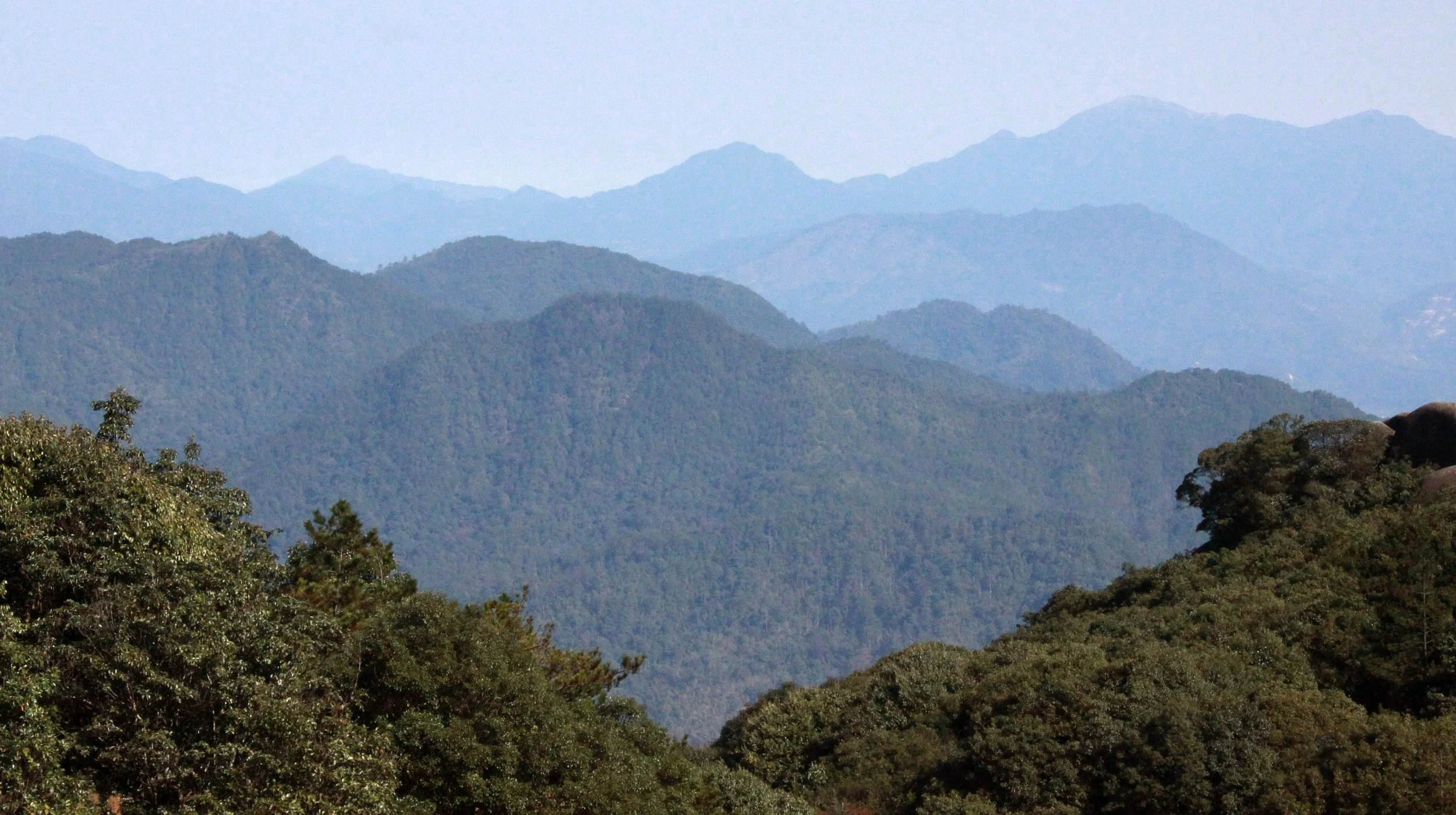 MEIHUASHAN - FUJIAN CHINA (89).JPG