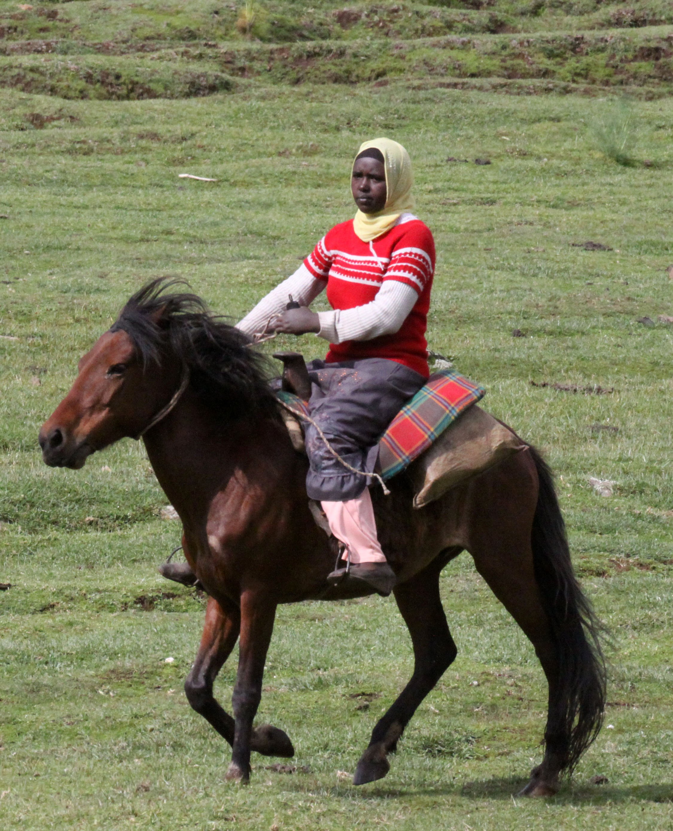 BALE MOUNTAINS NATIONAL PARK ETHIOPIA - GAYSAY GRASSLANDS (11).JPG