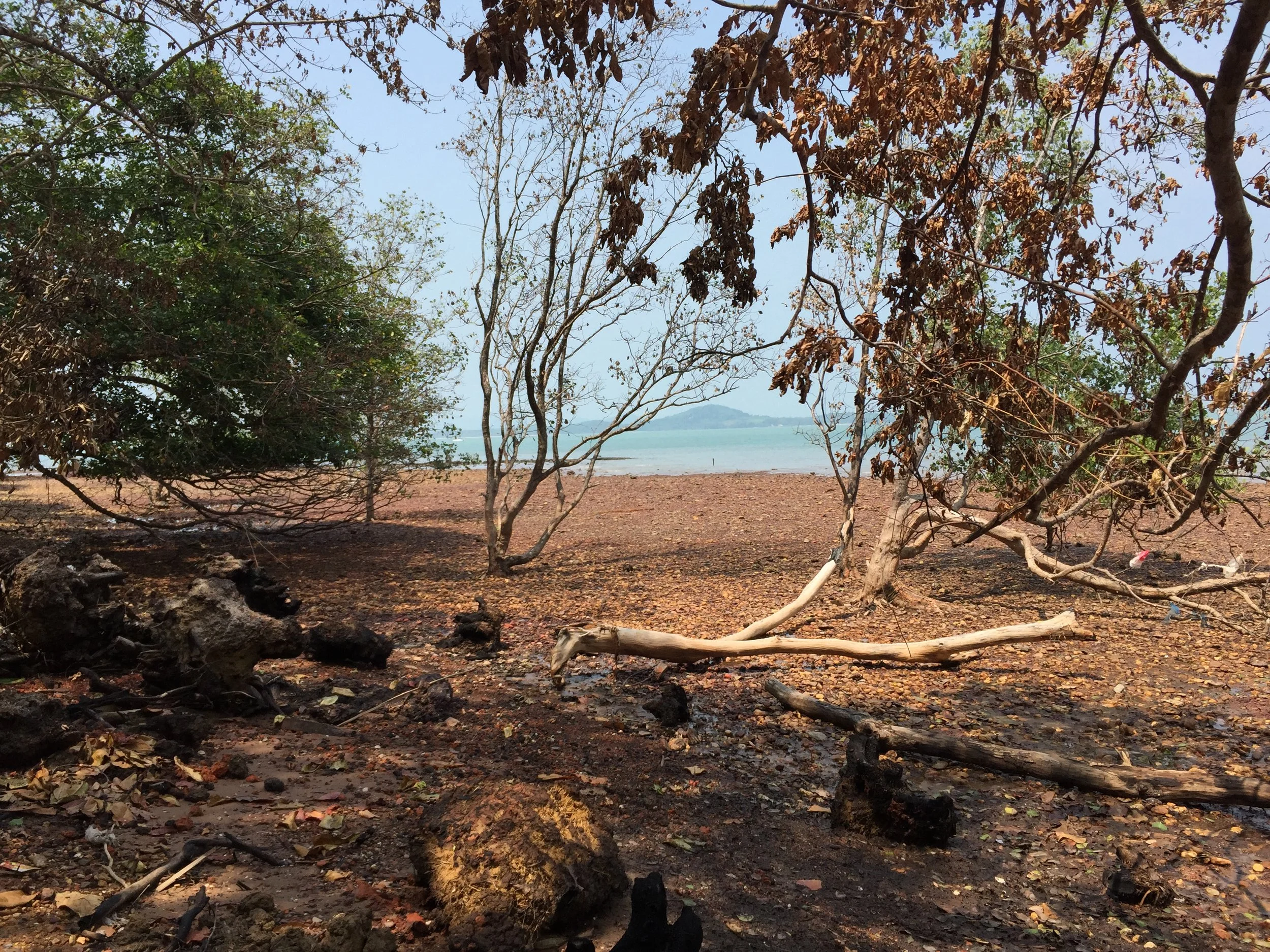 2015 Lanta Project and Scenes (41).JPG