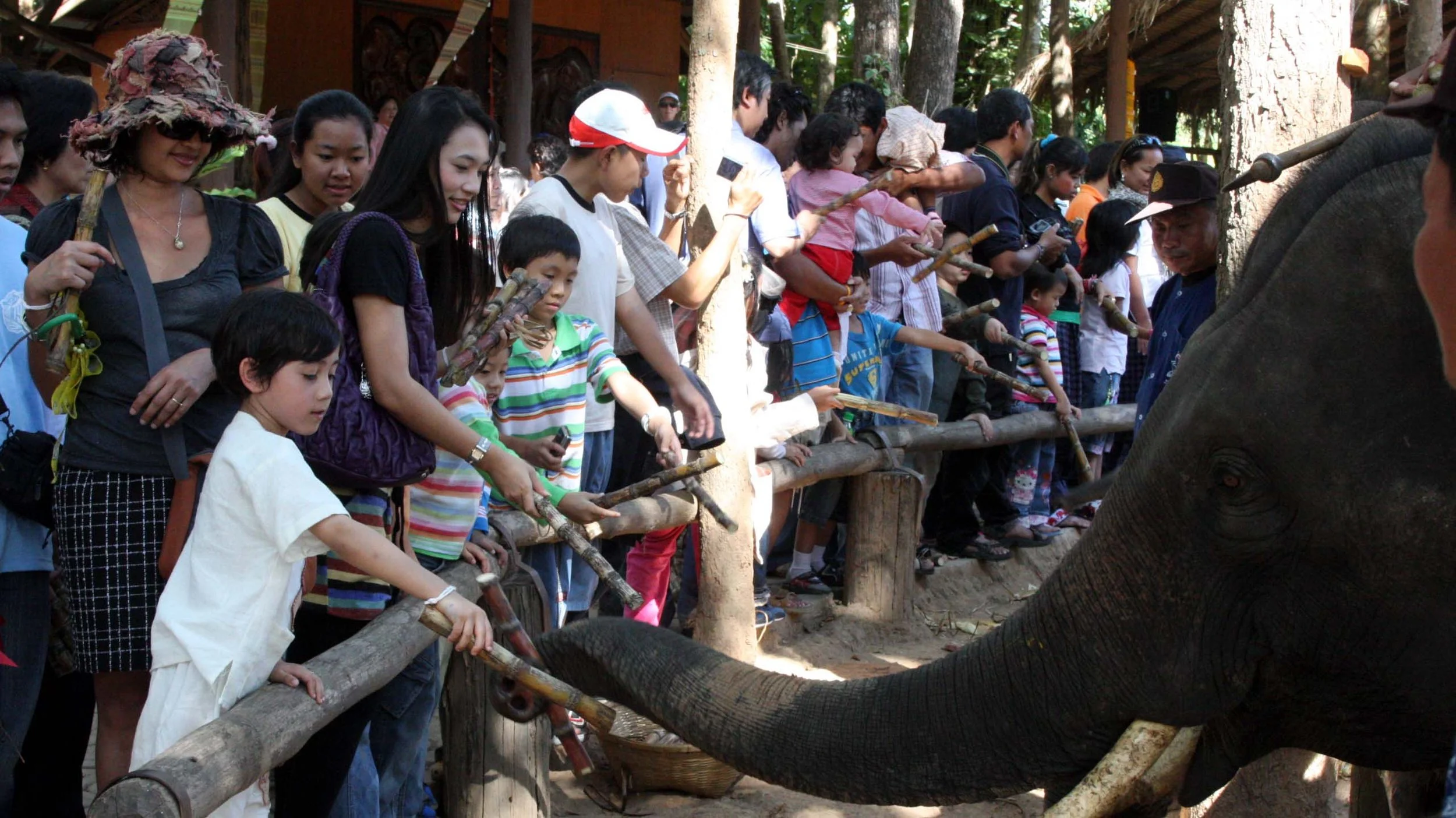 2008 Lampang City & Elephant Center (55).JPG
