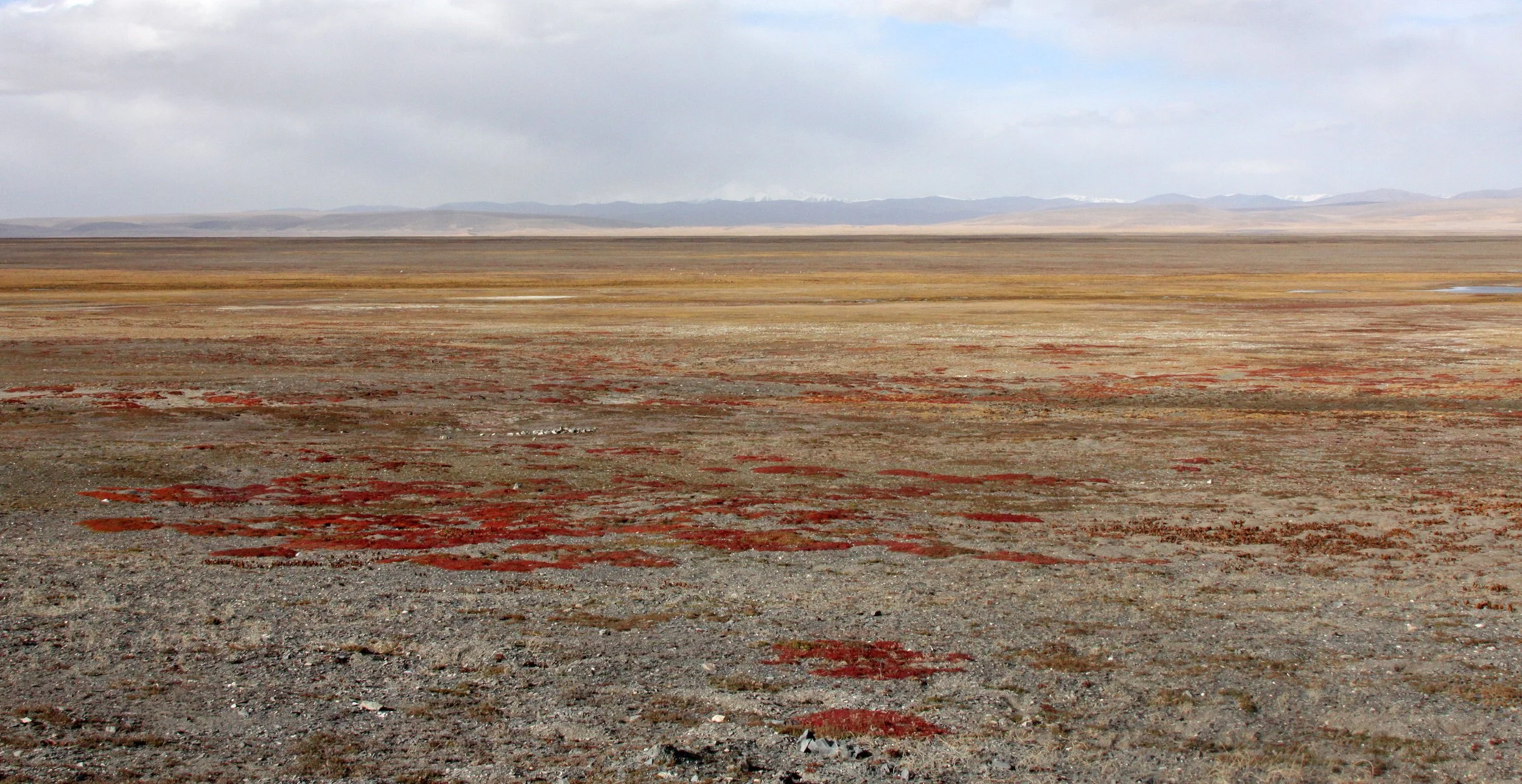 KEKEXILI NATIONAL RESERVE - QINGHAI CHINA (4).JPG