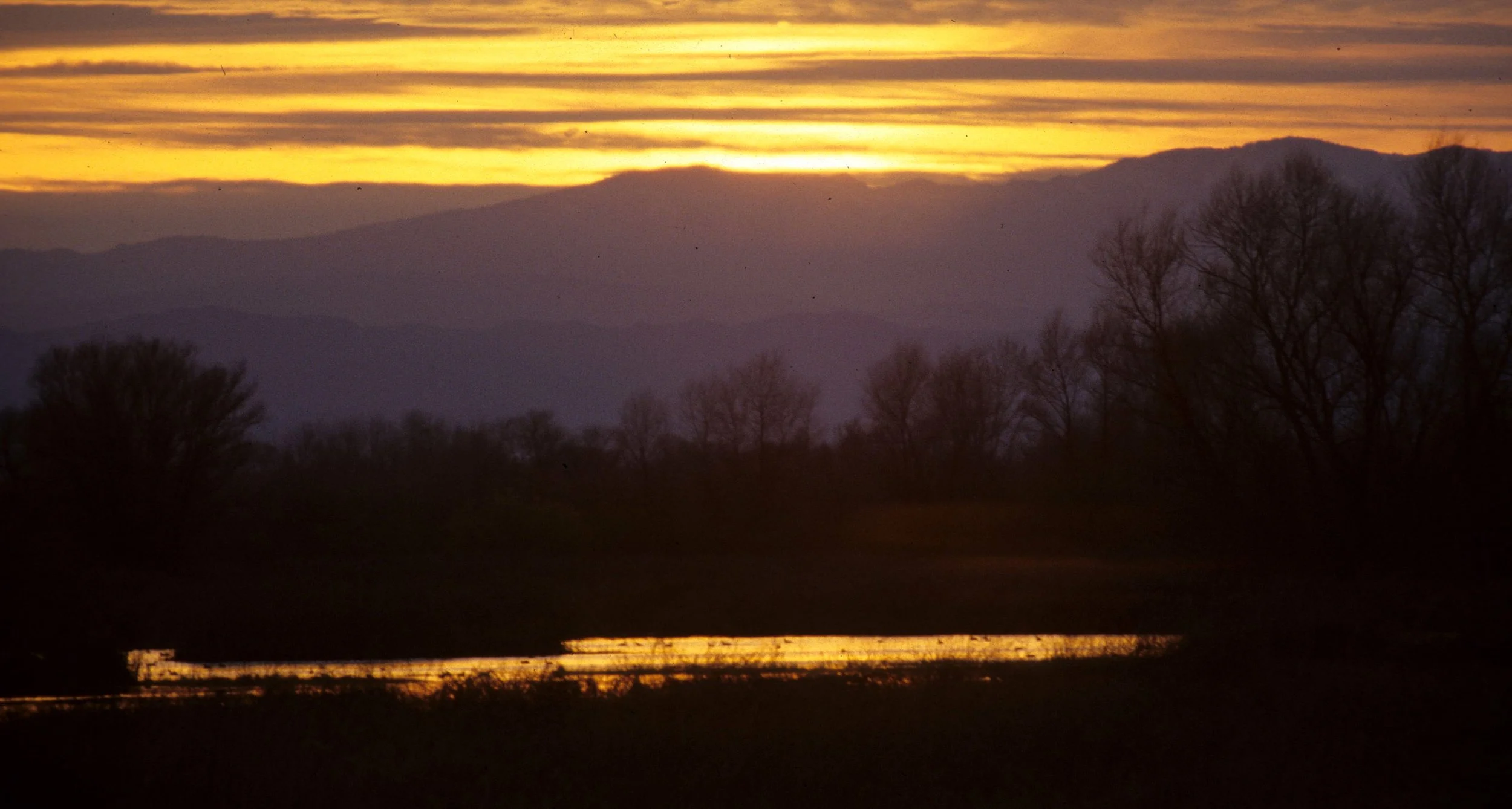 CALIFORNIA - KLAMMATH BASIN SUNSET.jpg