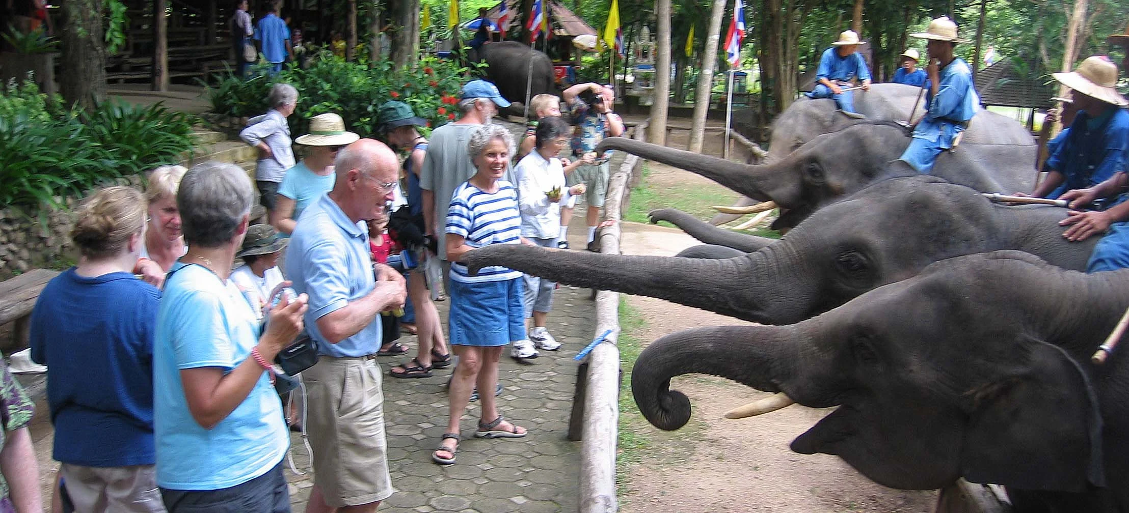 2008 Lampang City & Elephant Center (149).jpg