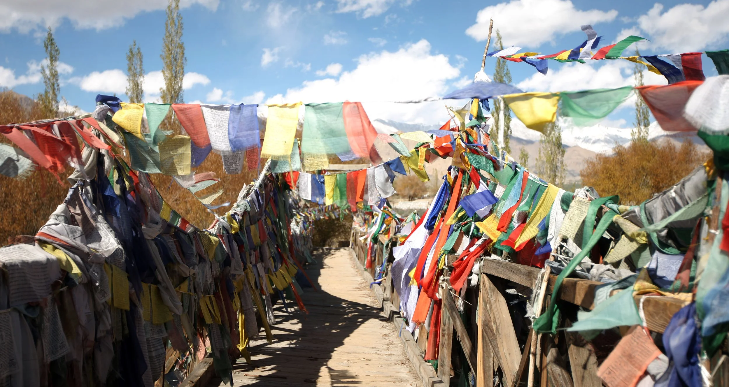 LEH LADAKH INDIA (5).JPG