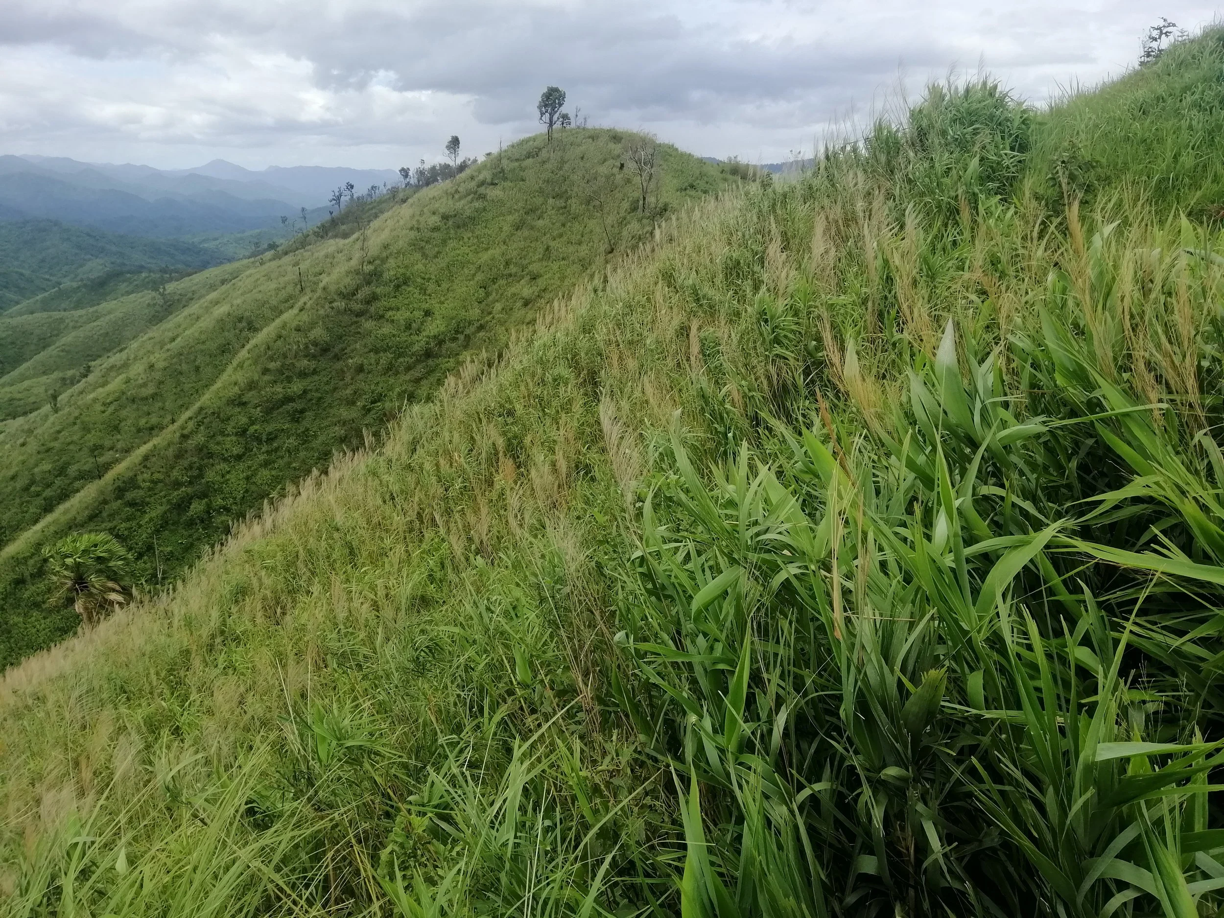 2021 Chong Yen and Surrounding Countryside (40).jpg