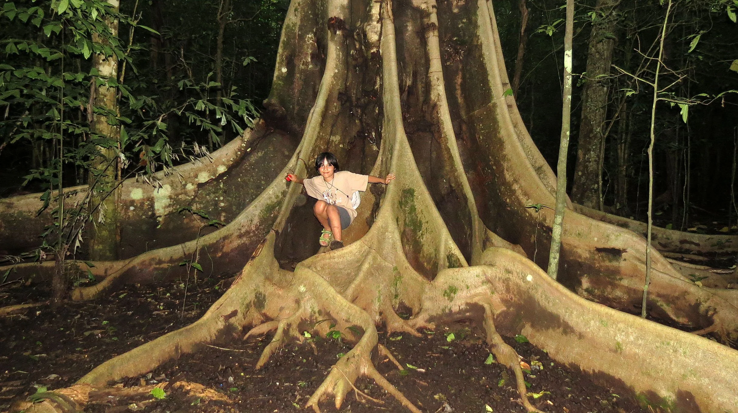 TANGKOKO NATIONAL PARK SULAWESI INDONESIA (87).JPG
