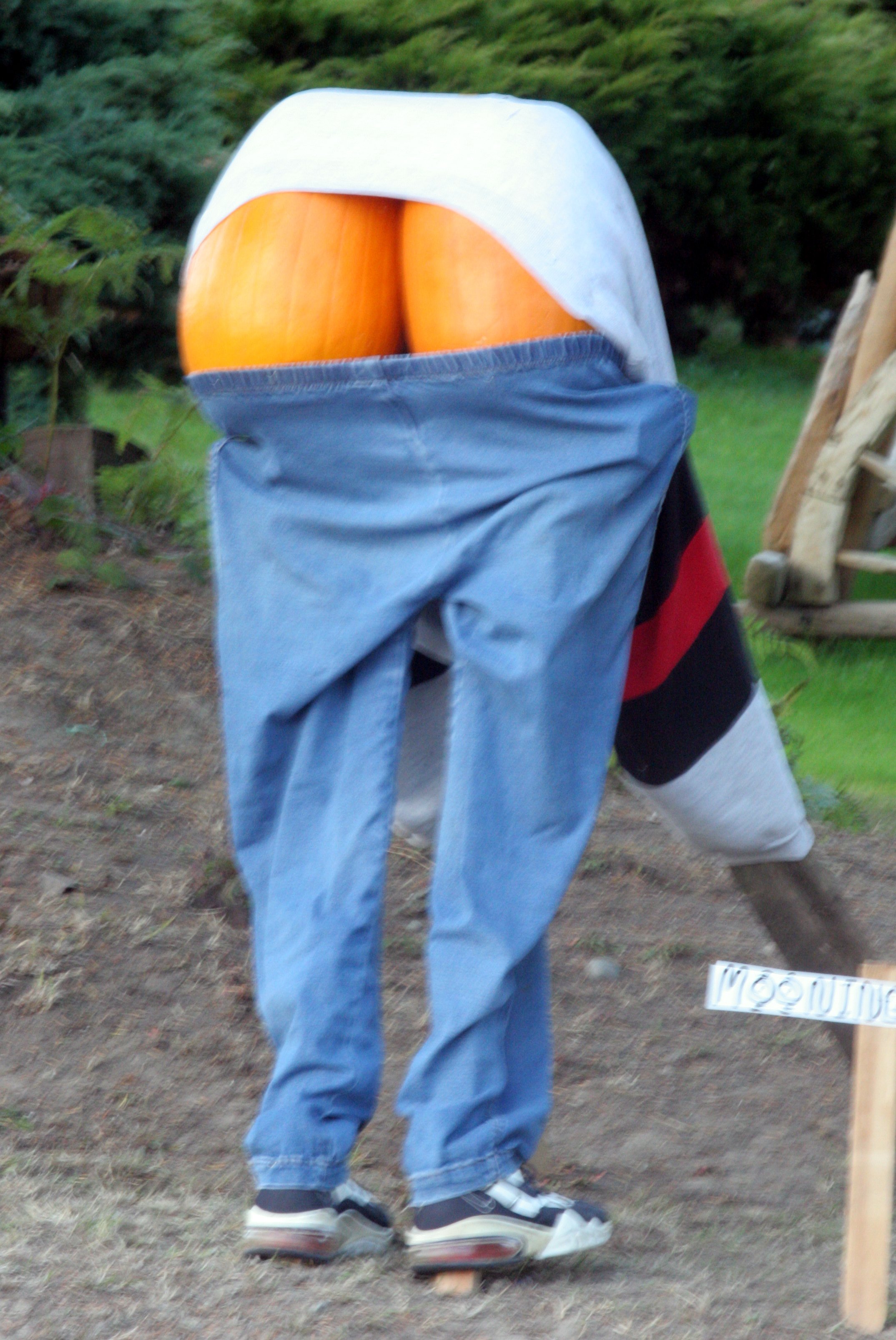 2008-10-26 MAPLE AND MERLOT - ELWHA RIVER VALLEY WA (2).JPG