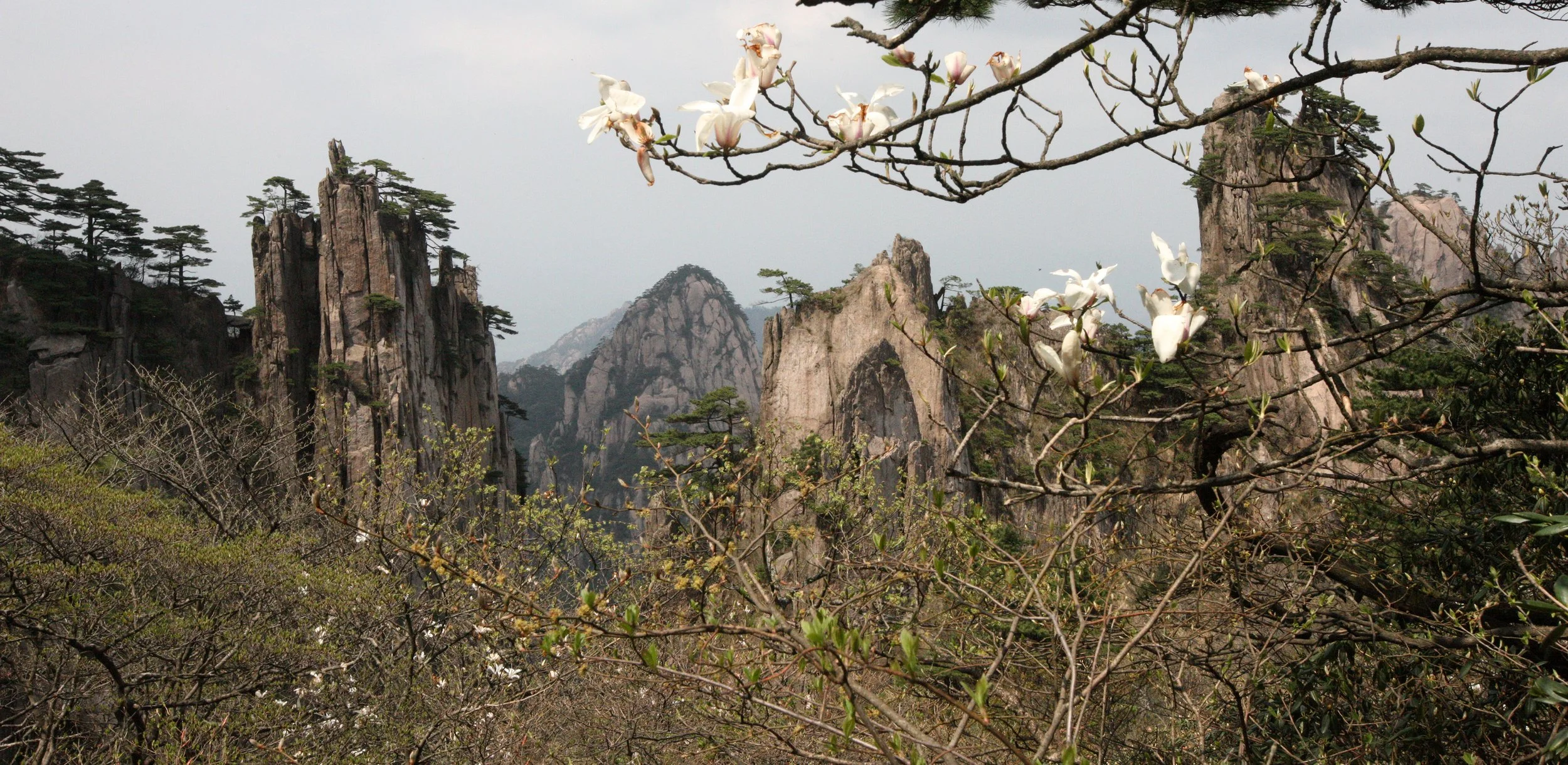 HUANGSHAN NATIONAL PARK ANHUI PROVINCE CHINA (55).JPG
