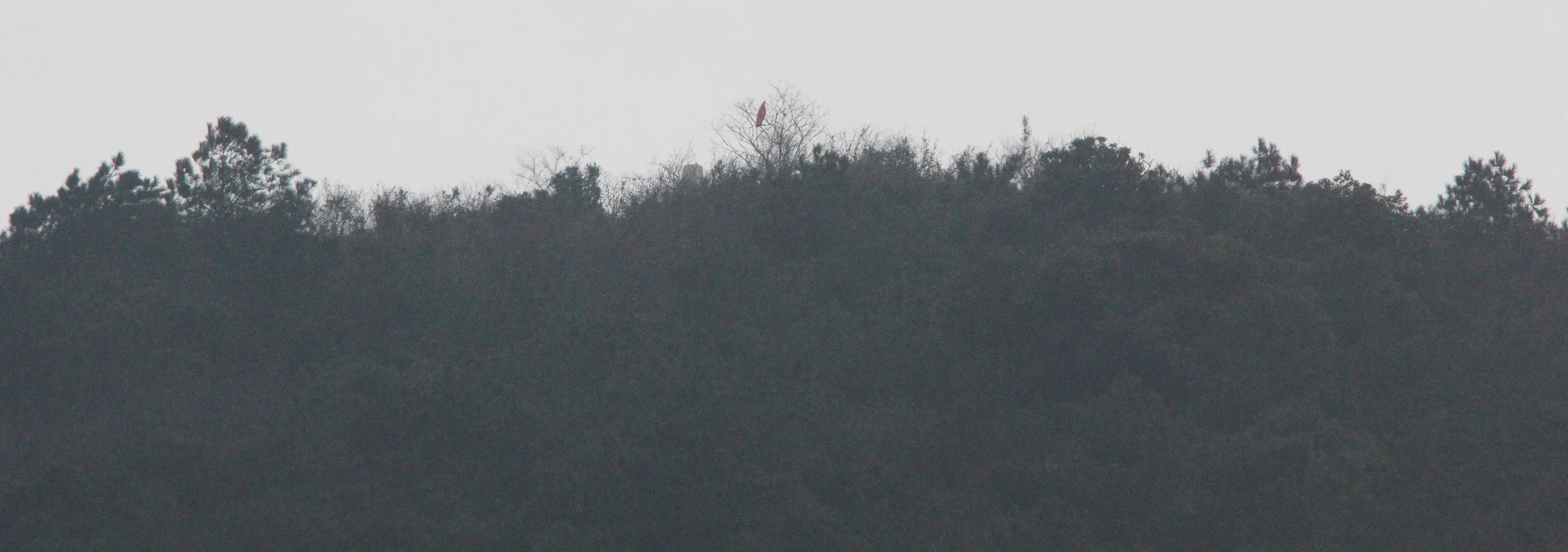LAKE TAI JIANGSU PROVINCE - IB & APES FIELD TRIP TO LAKE TAI (157).JPG