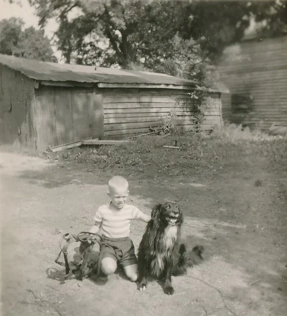 1950-06-18 Bumpa's-Clay tires of riding horses and prepares to bridle Smokey.jpg