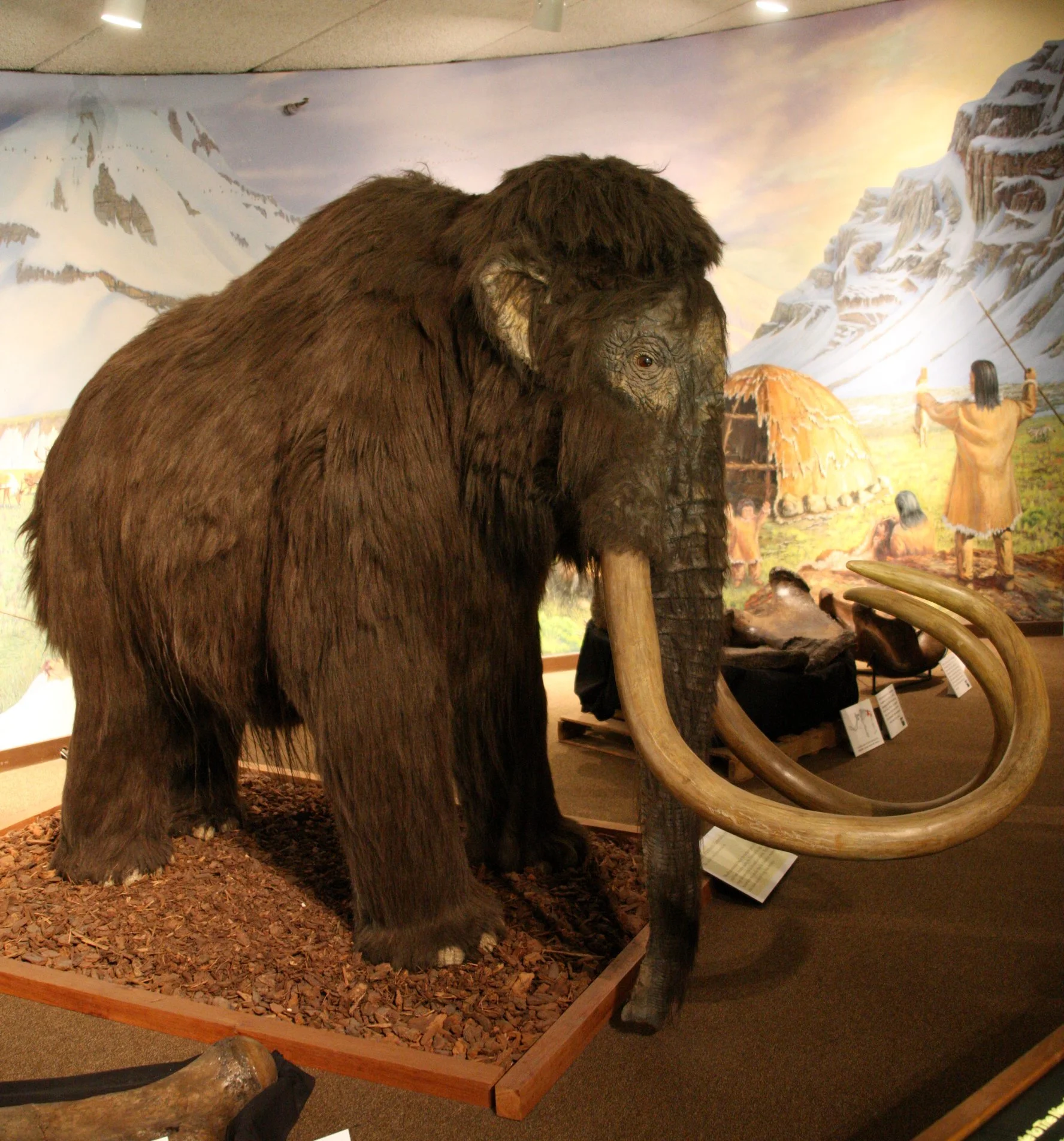 2010-4-5 LA BREA TAR PITS LOS ANGELES.JPG