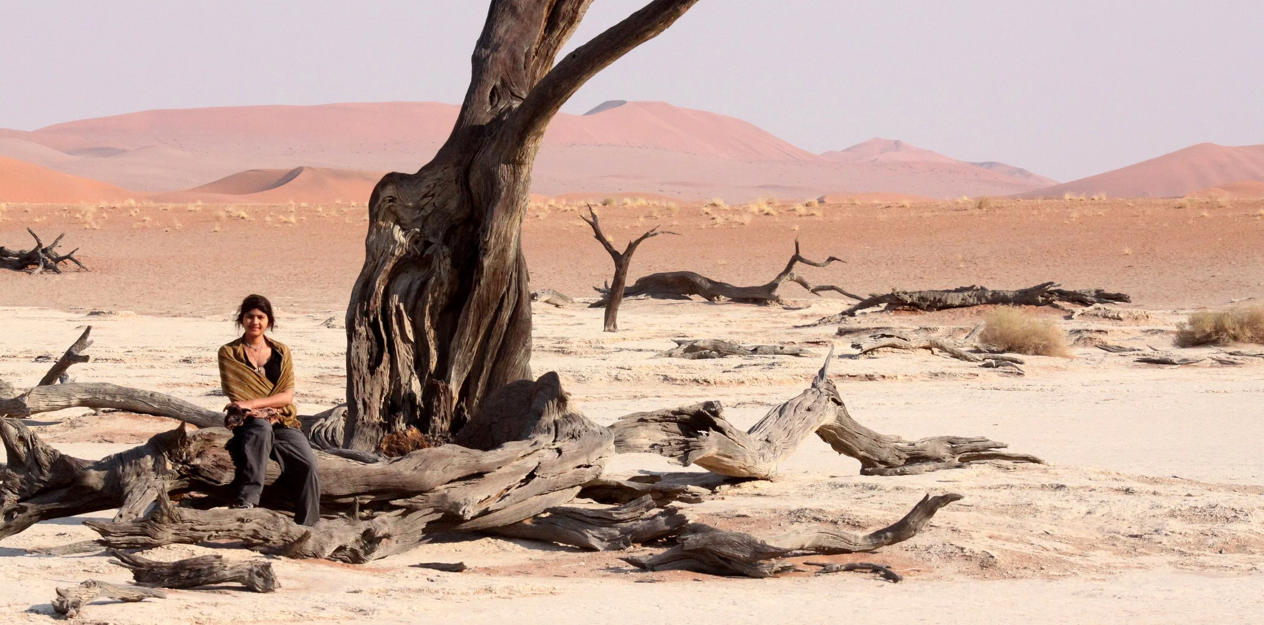 SOSSUSVLEI, NAMIB NAUKLUFT NATIONAL PARK, NAMIBIA - DEAD VLEI (34).JPG