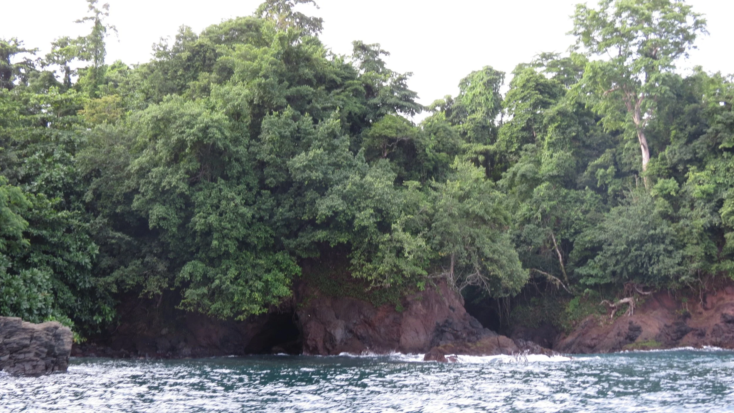 TANGKOKO NATIONAL PARK, SULAWESI INDONESIA  (27).JPG