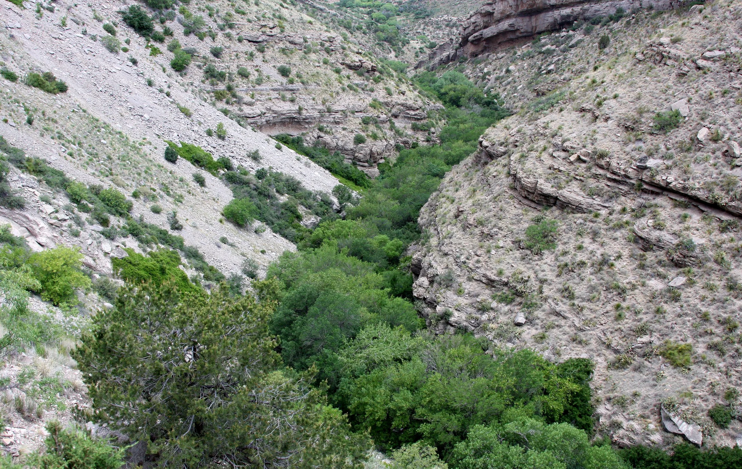 Sacramento Mountains