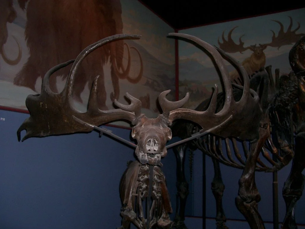 2003-12-25 CHRISTMAS IN CHICAGO (46).JPG