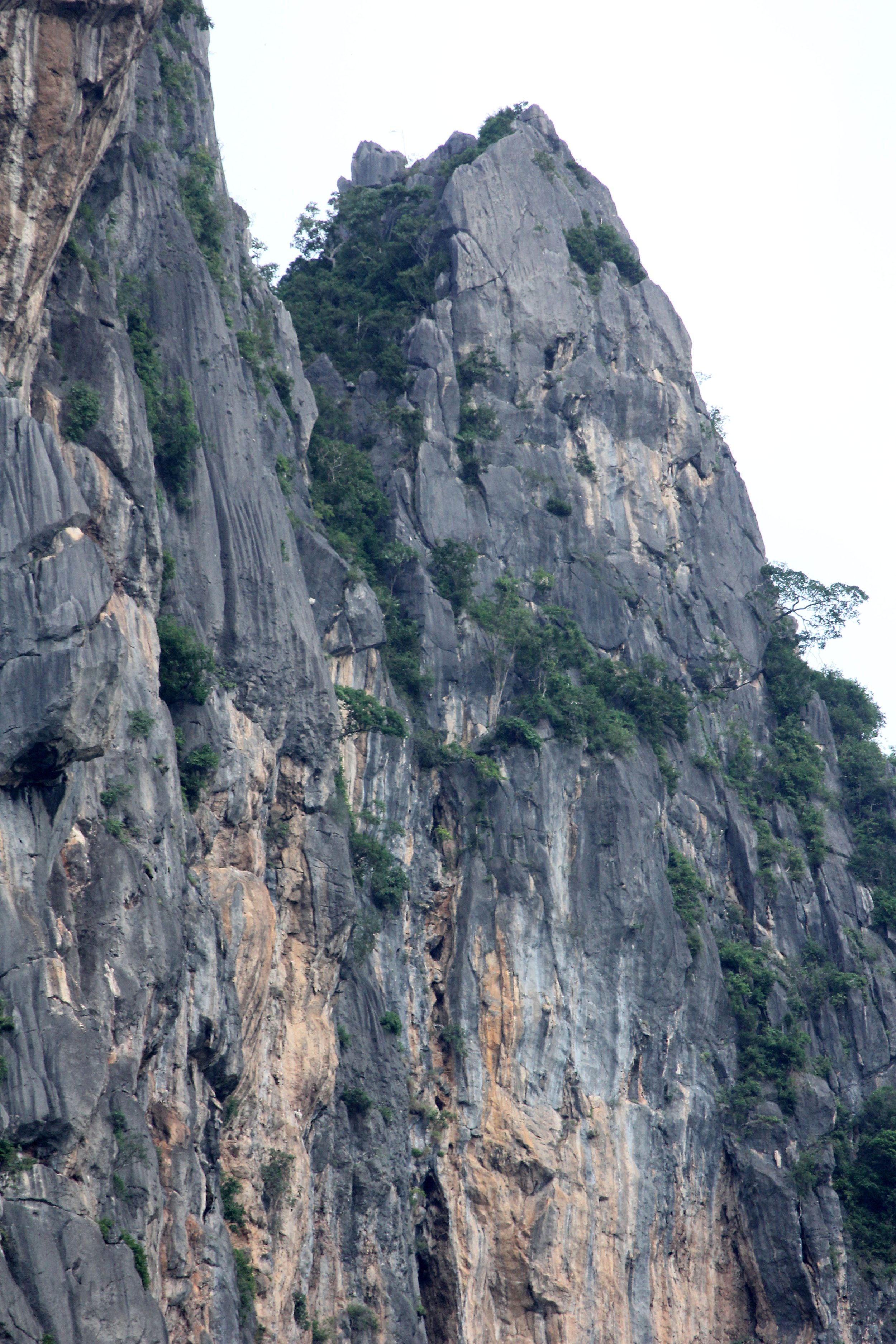 2017 Phu Khieo Wildlife Sanctuary  (26).JPG