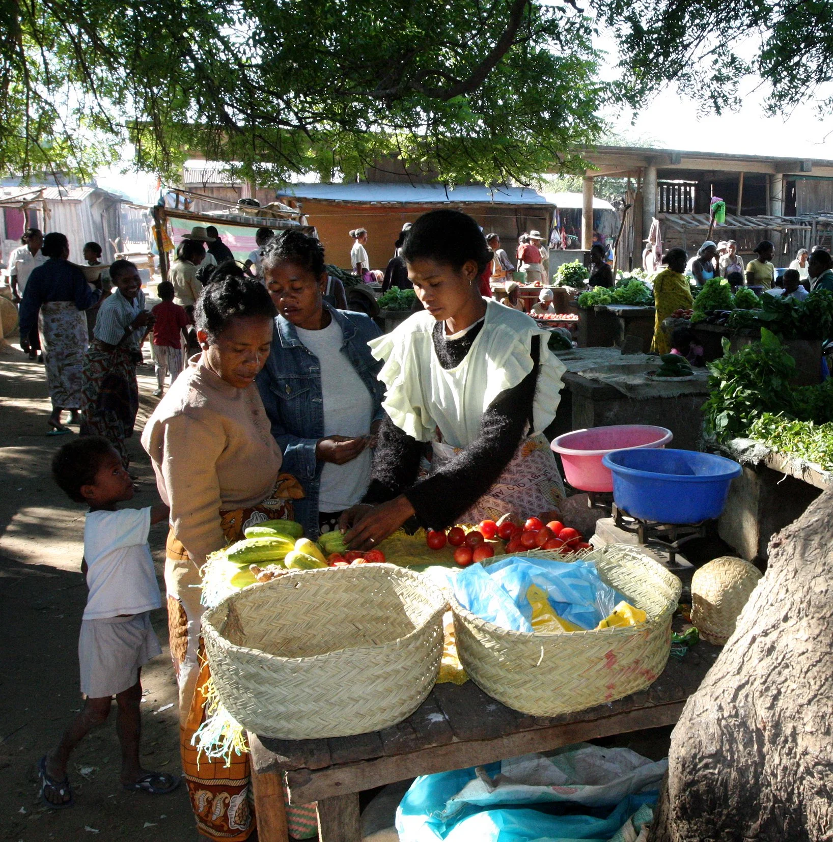 ANTANDROY VILLAGE - MARKET DAY (30).JPG