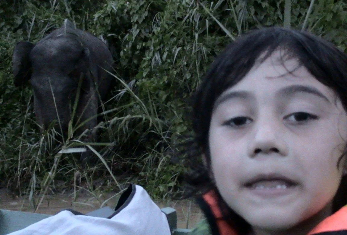 BORNEO - US WITH THE ELEPHANTS (8).JPG