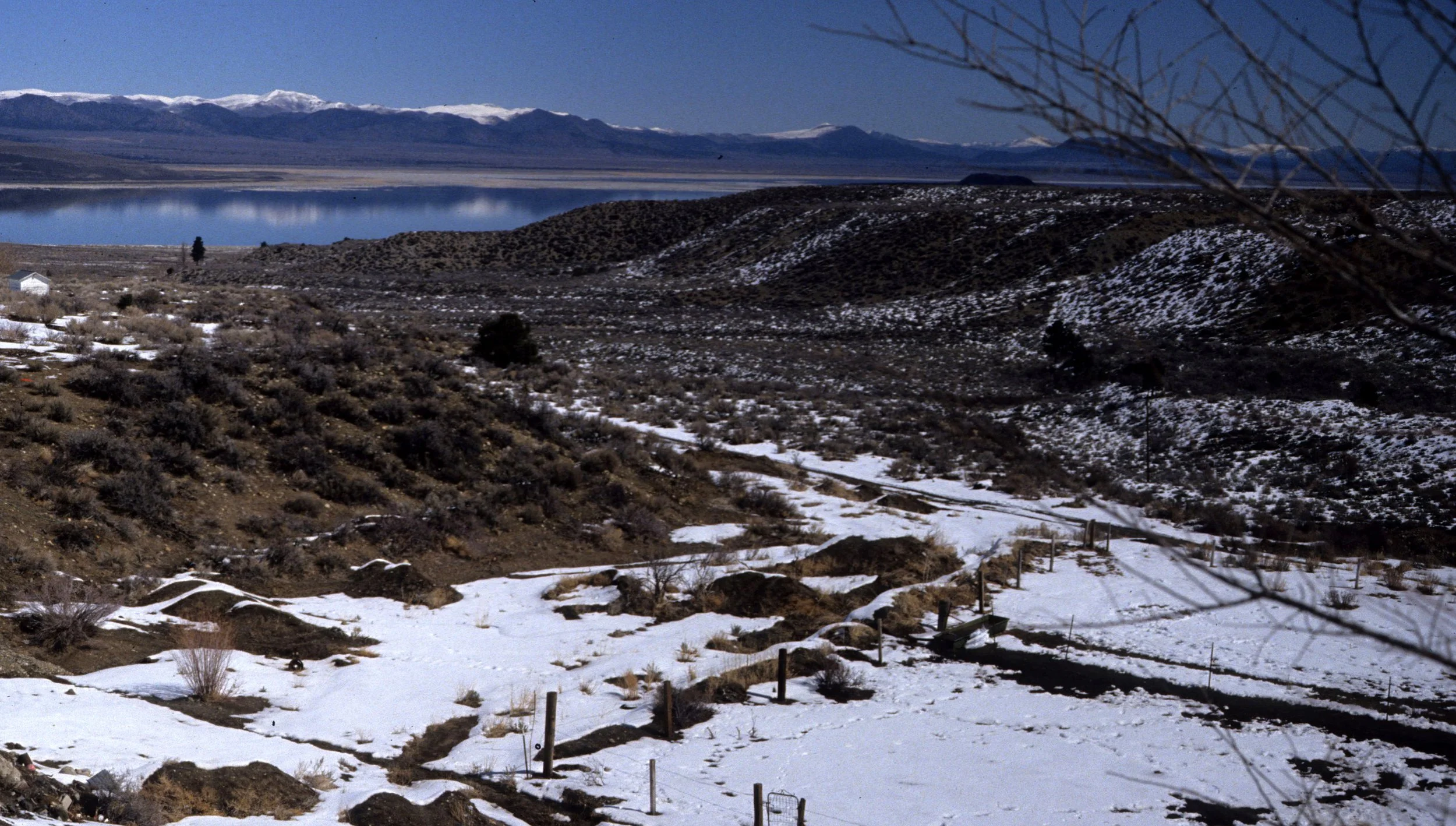 CALIFORNIA - MONO LAKE - VIEW IN SNOW  (3).jpg