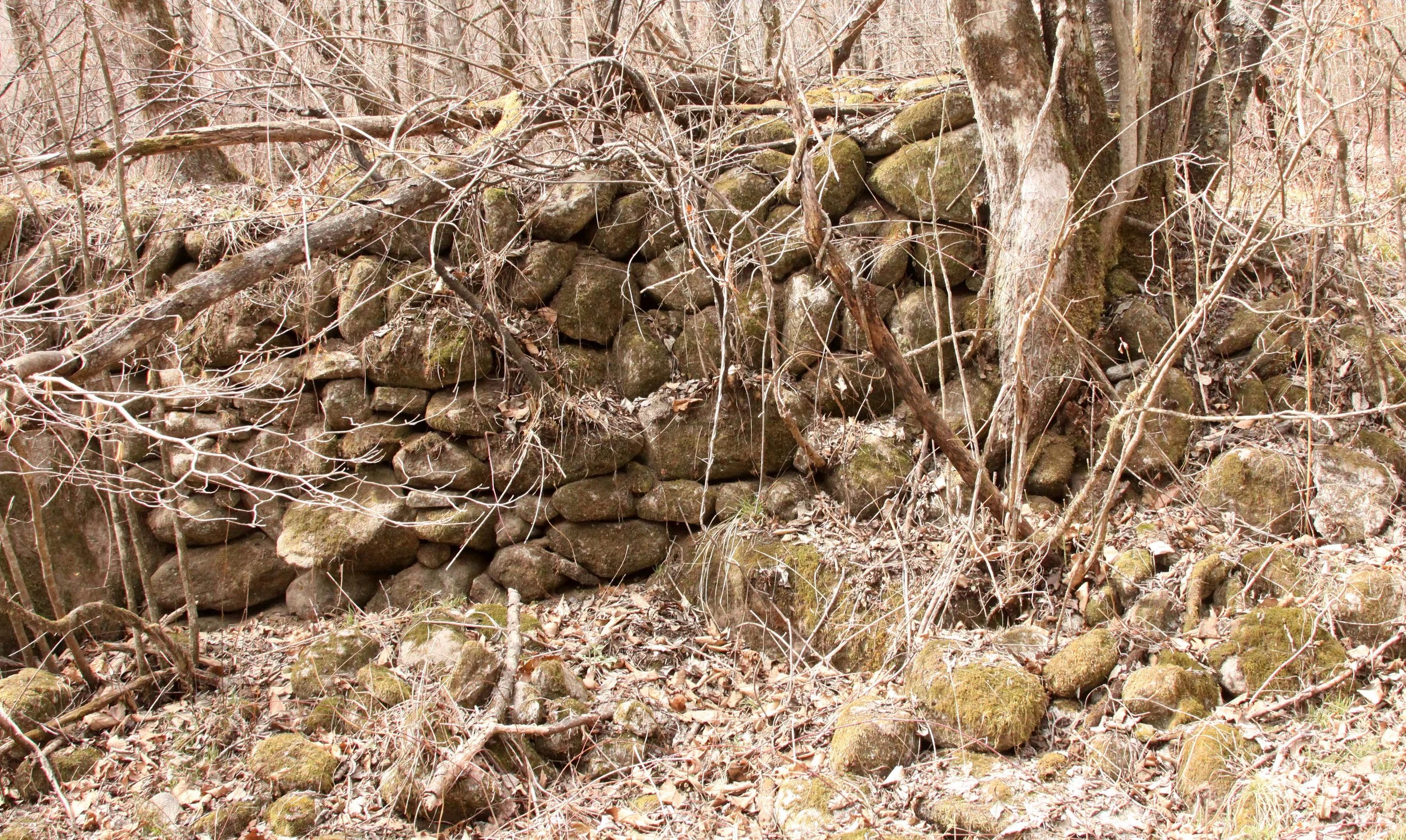 FOPING NATURE RESERVE - SHAANXI PROVINCE CHINA (207).JPG