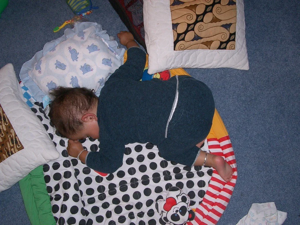 2003-8-30 COKIE SLEEPING.JPG