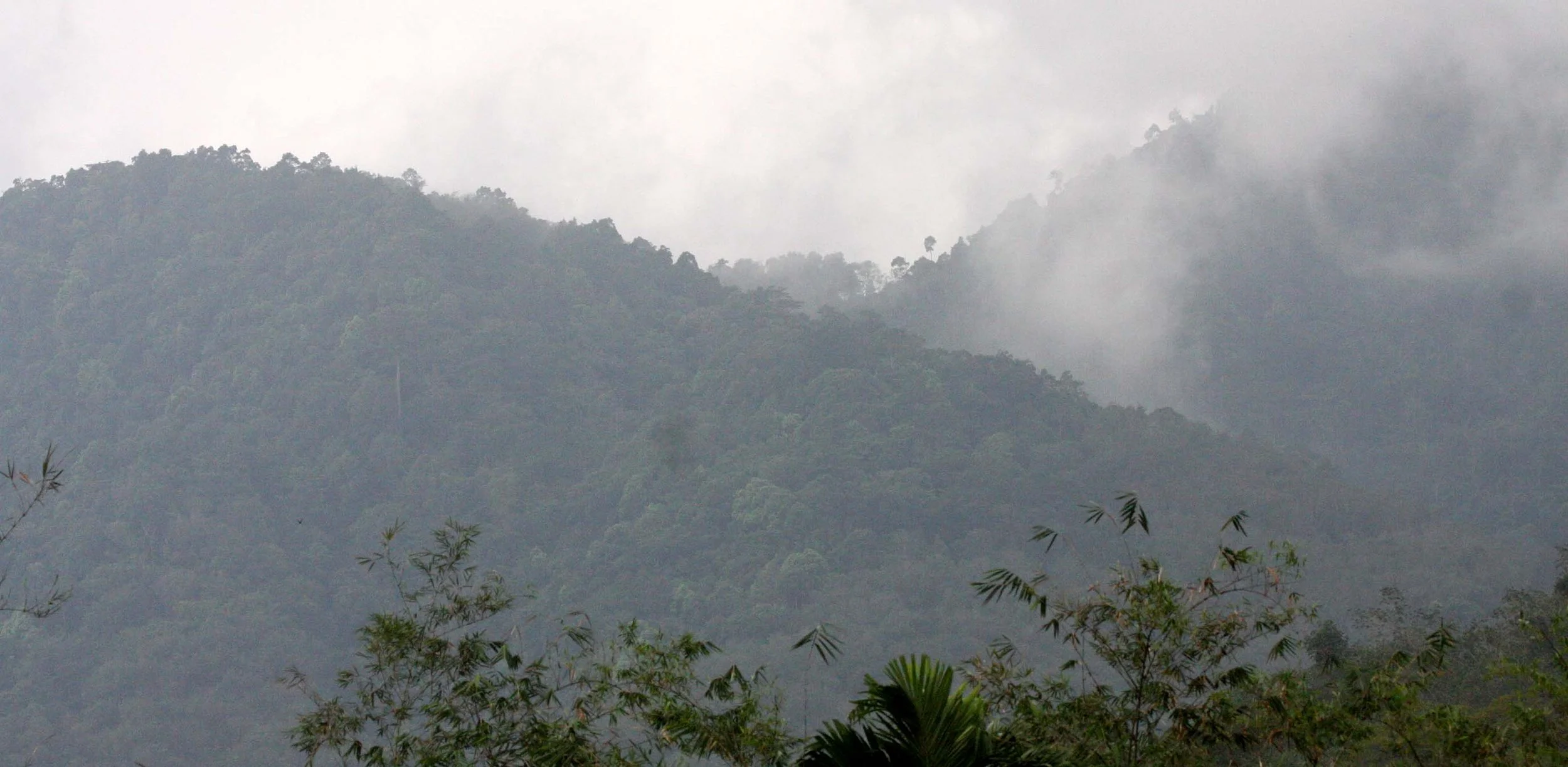 2009 Promluk Property Views (12).JPG