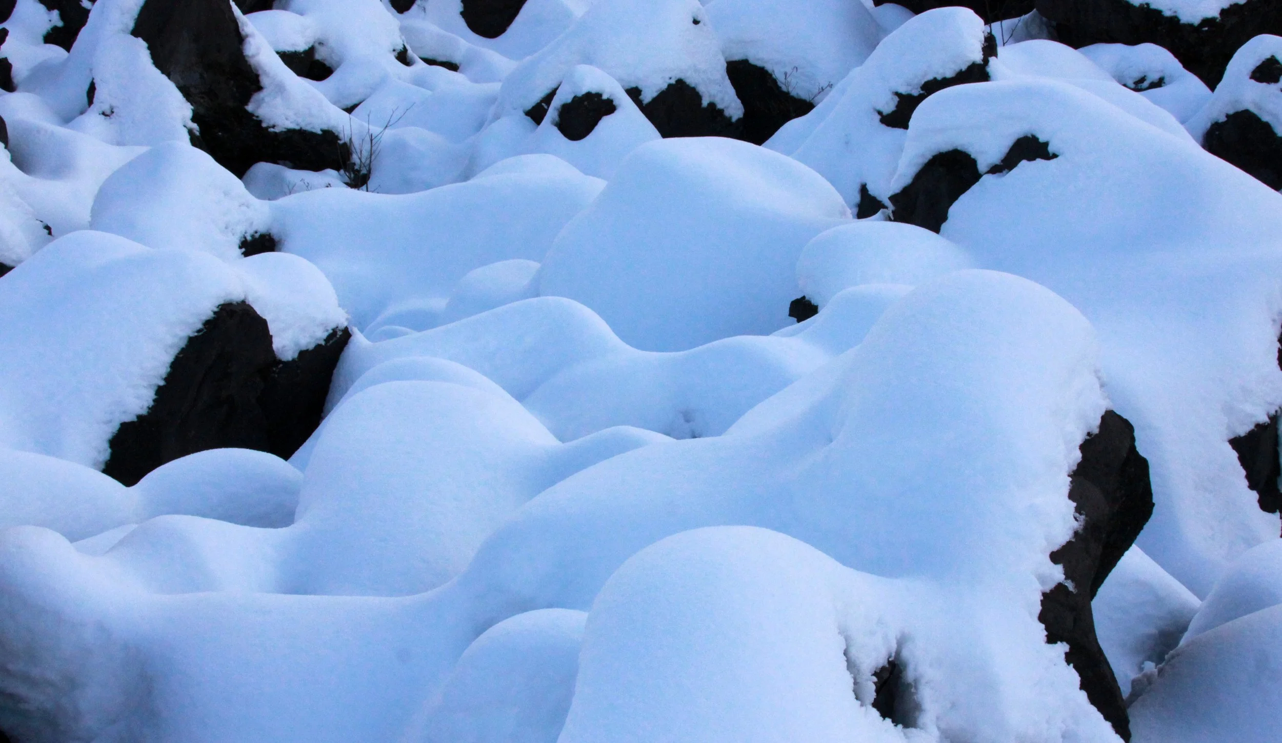 MOUNT ASAMA - JOSHIN'ETSUKOGEN NATIONAL PARK JAPAN (93).JPG