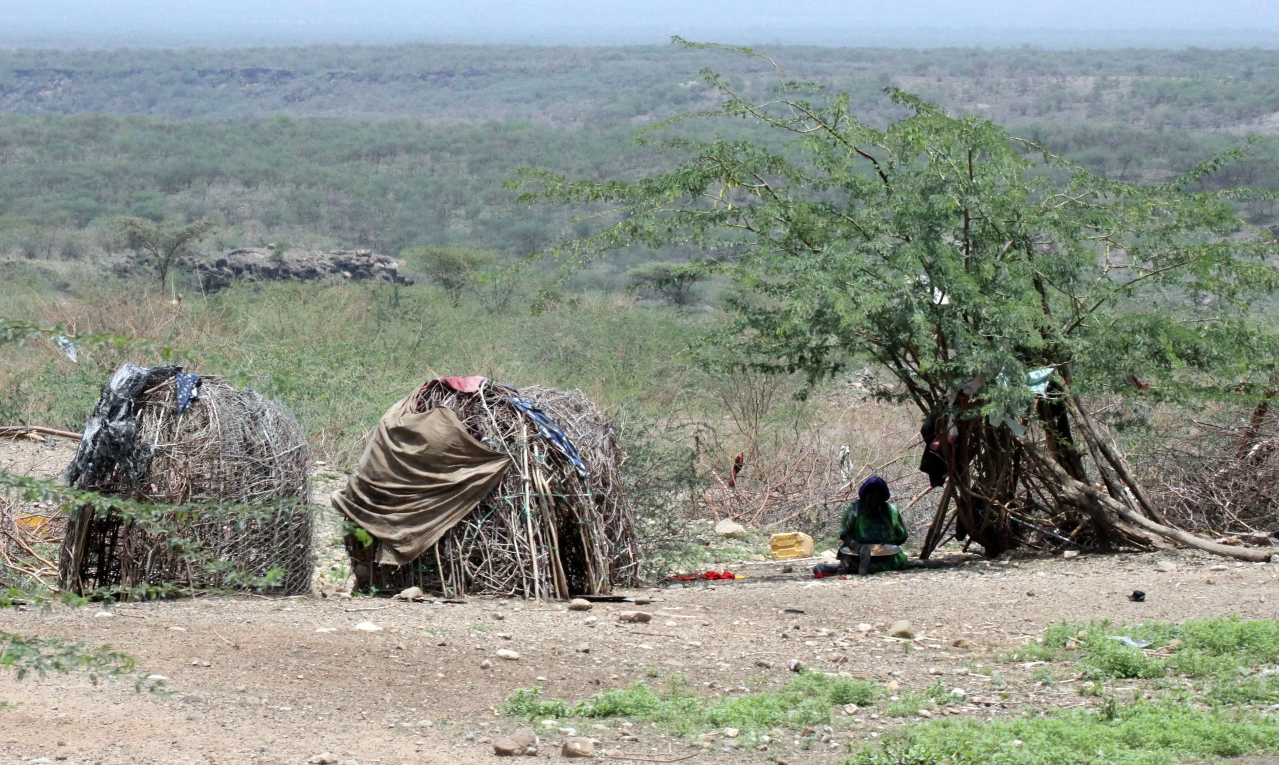 ALI DEGE PLAINS ETHIOPIA (19).JPG
