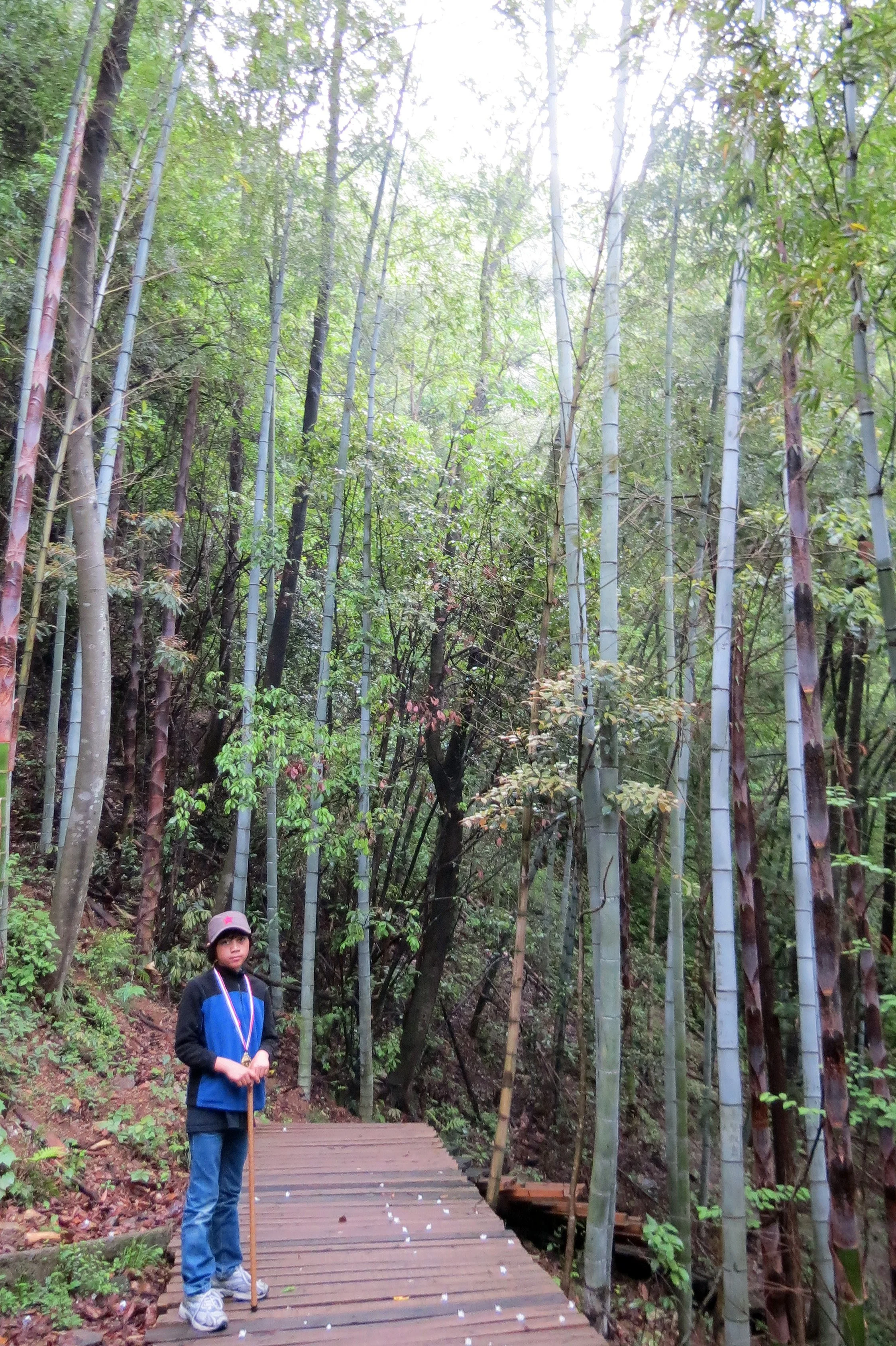 GUNIUJIANG NATURE RESERVE - ANHUI PROVINCE CHINA (35).JPG