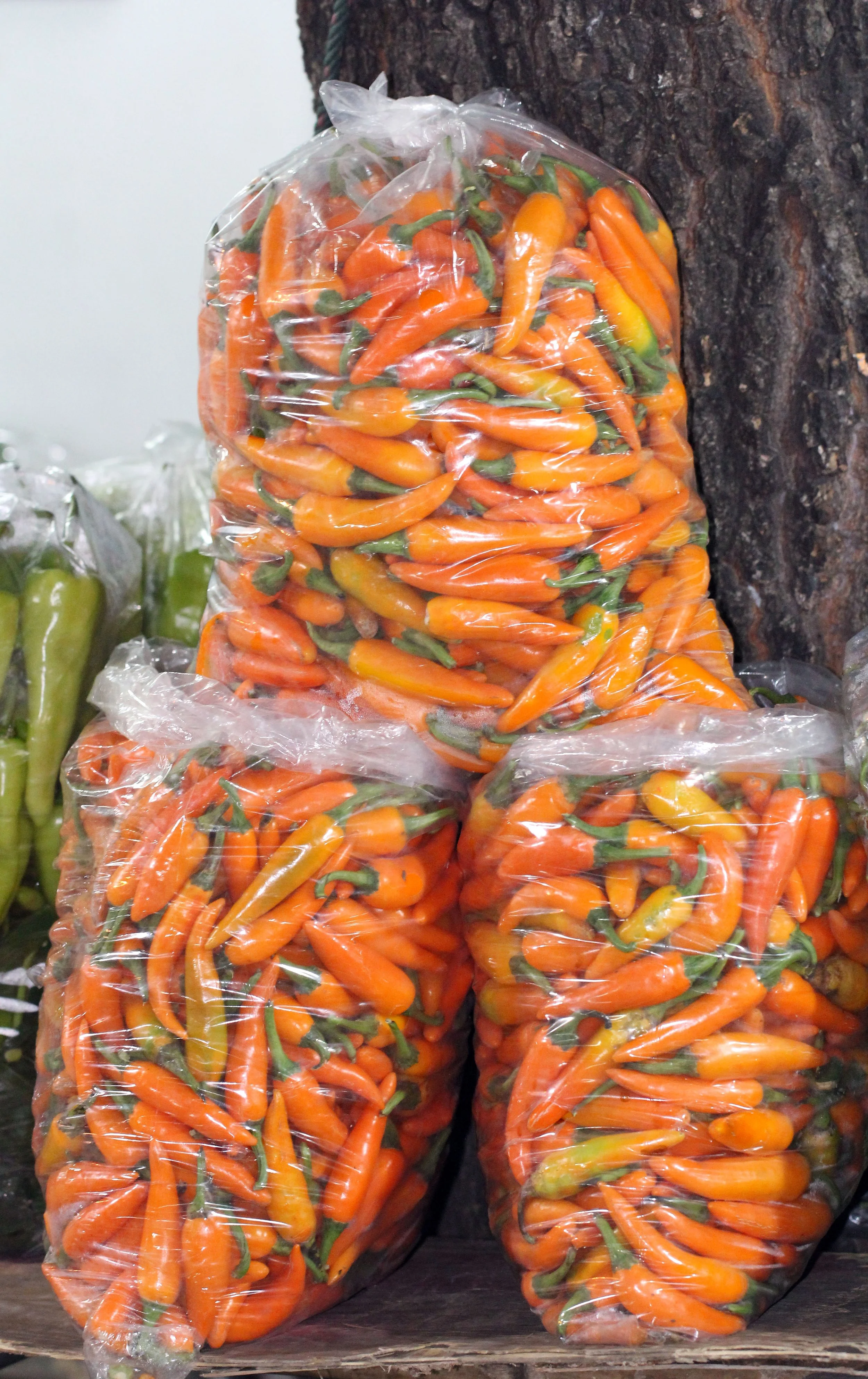 2016 Bangkok Pak Klong Flower Market at 2AM (2).JPG