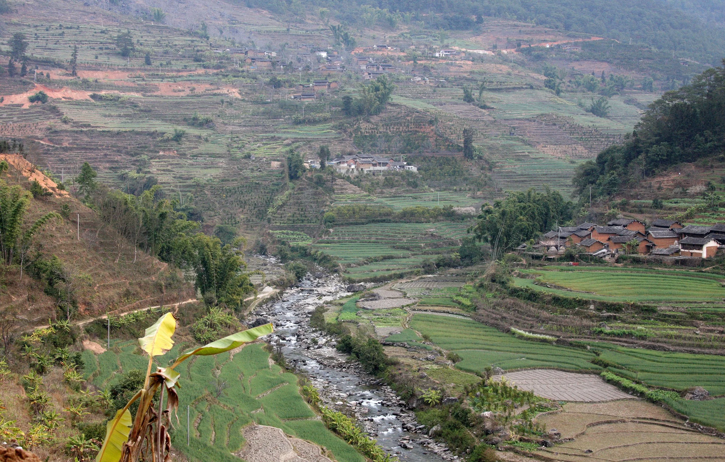 YUNNAN - WULIANGSHAN NATURE RESERVE AND SURROUNDING REGION (33).JPG