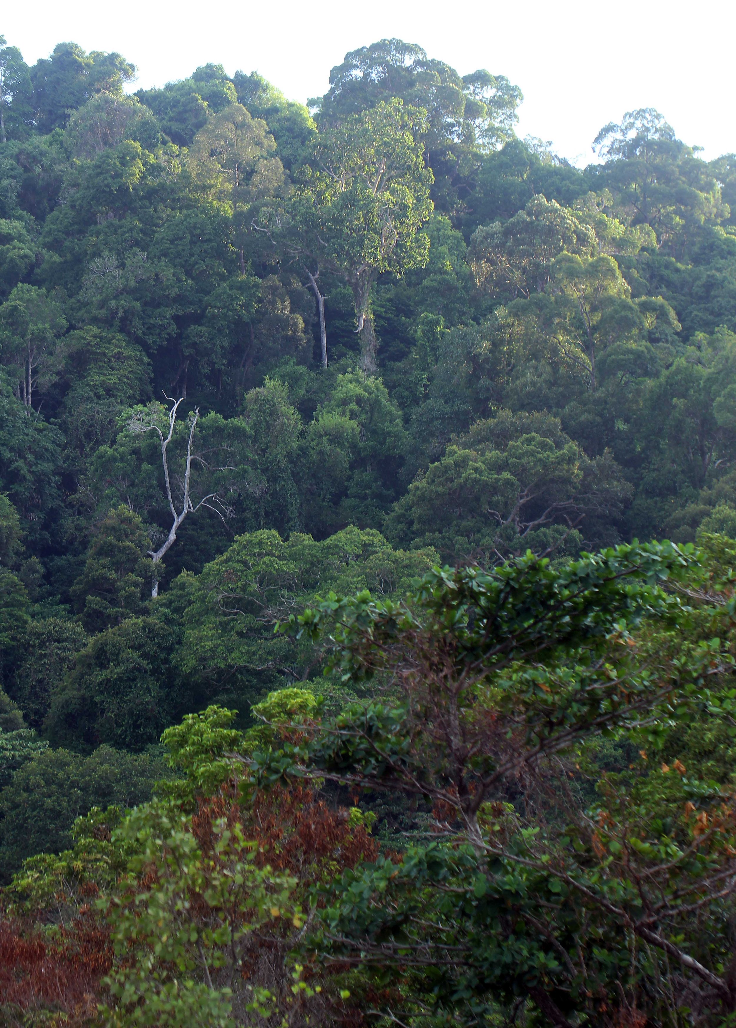 2015 Koh Lanta Songkran with friends from ISB (580).JPG
